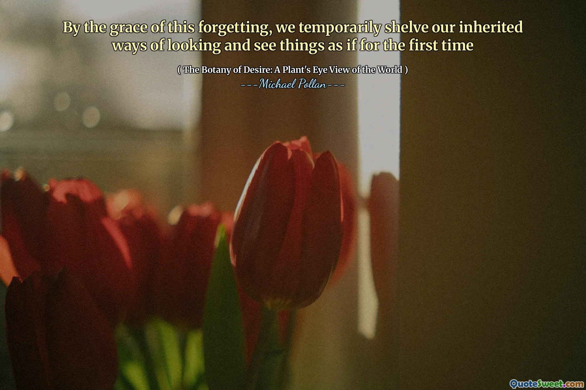 By the grace of this forgetting, we temporarily shelve our inherited ways of looking and see things as if for the first time