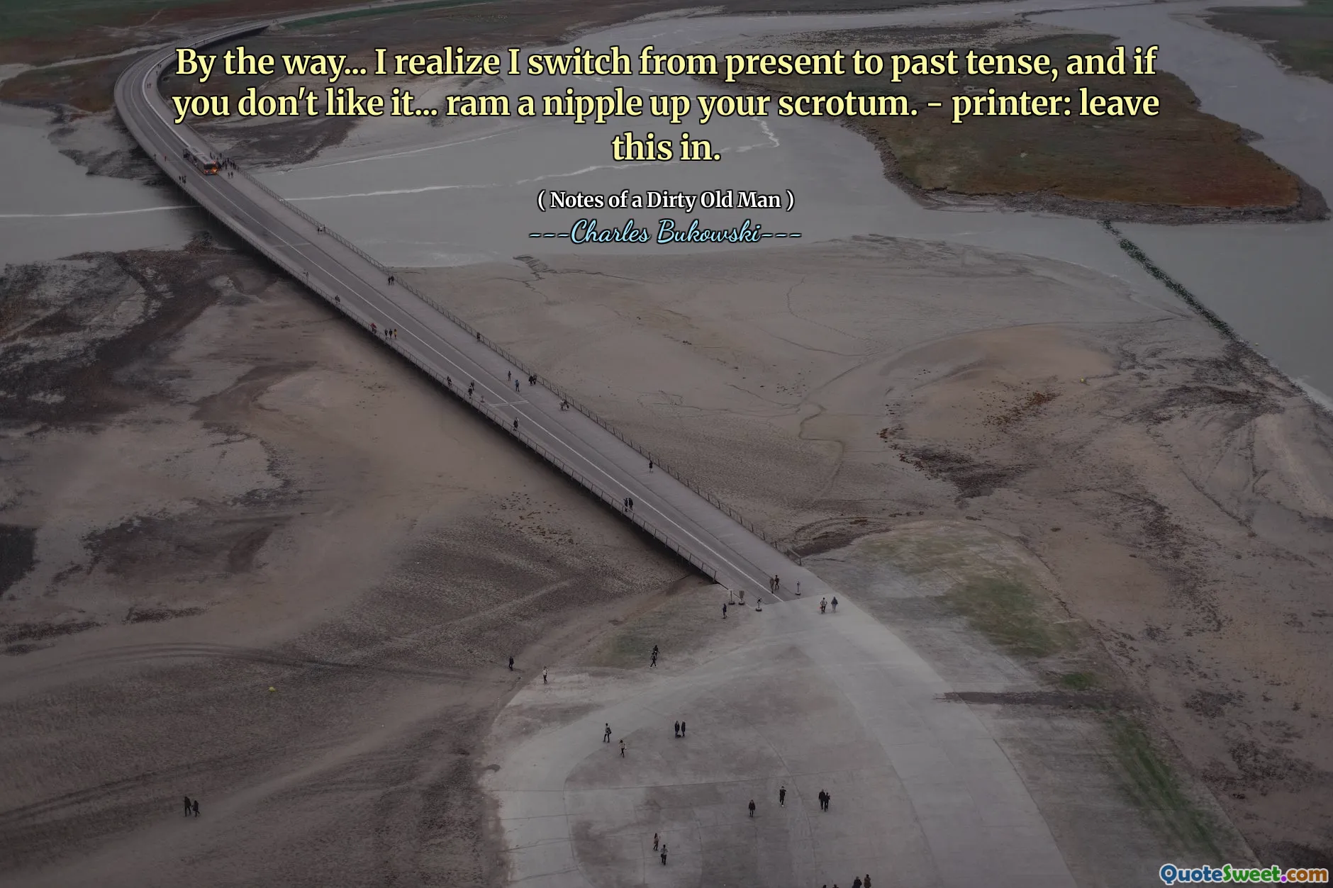 By the way... I realize I switch from present to past tense, and if you don't like it... ram a nipple up your scrotum. - printer: leave this in.