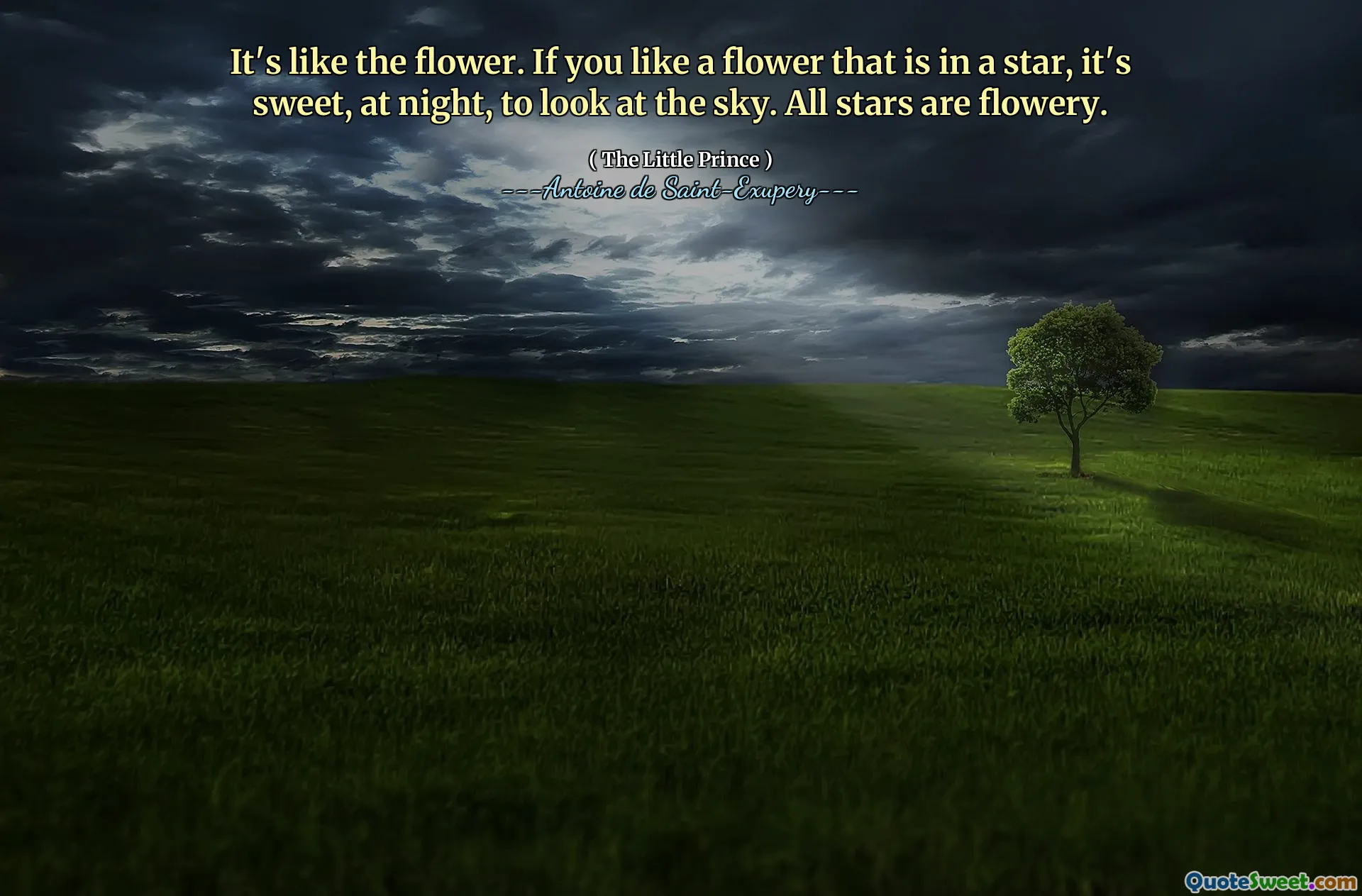It's like the flower. If you like a flower that is in a star, it's sweet, at night, to look at the sky. All stars are flowery.