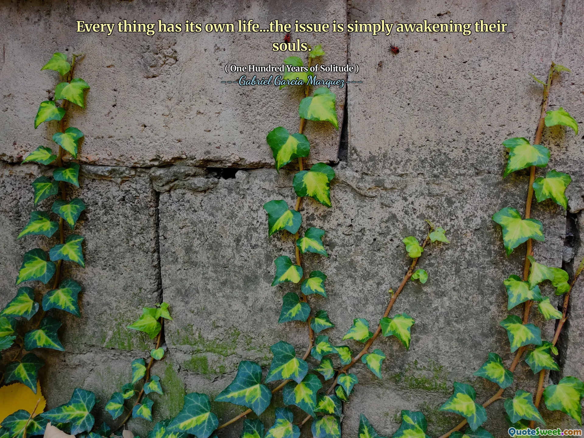 每件事都有自己的生活...问题只是唤醒他们的灵魂。