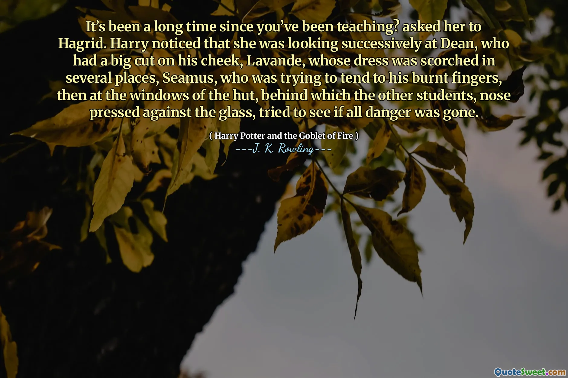 It’s been a long time since you’ve been teaching? asked her to Hagrid. Harry noticed that she was looking successively at Dean, who had a big cut on his cheek, Lavande, whose dress was scorched in several places, Seamus, who was trying to tend to his burnt fingers, then at the windows of the hut, behind which the other students, nose pressed against the glass, tried to see if all danger was gone.