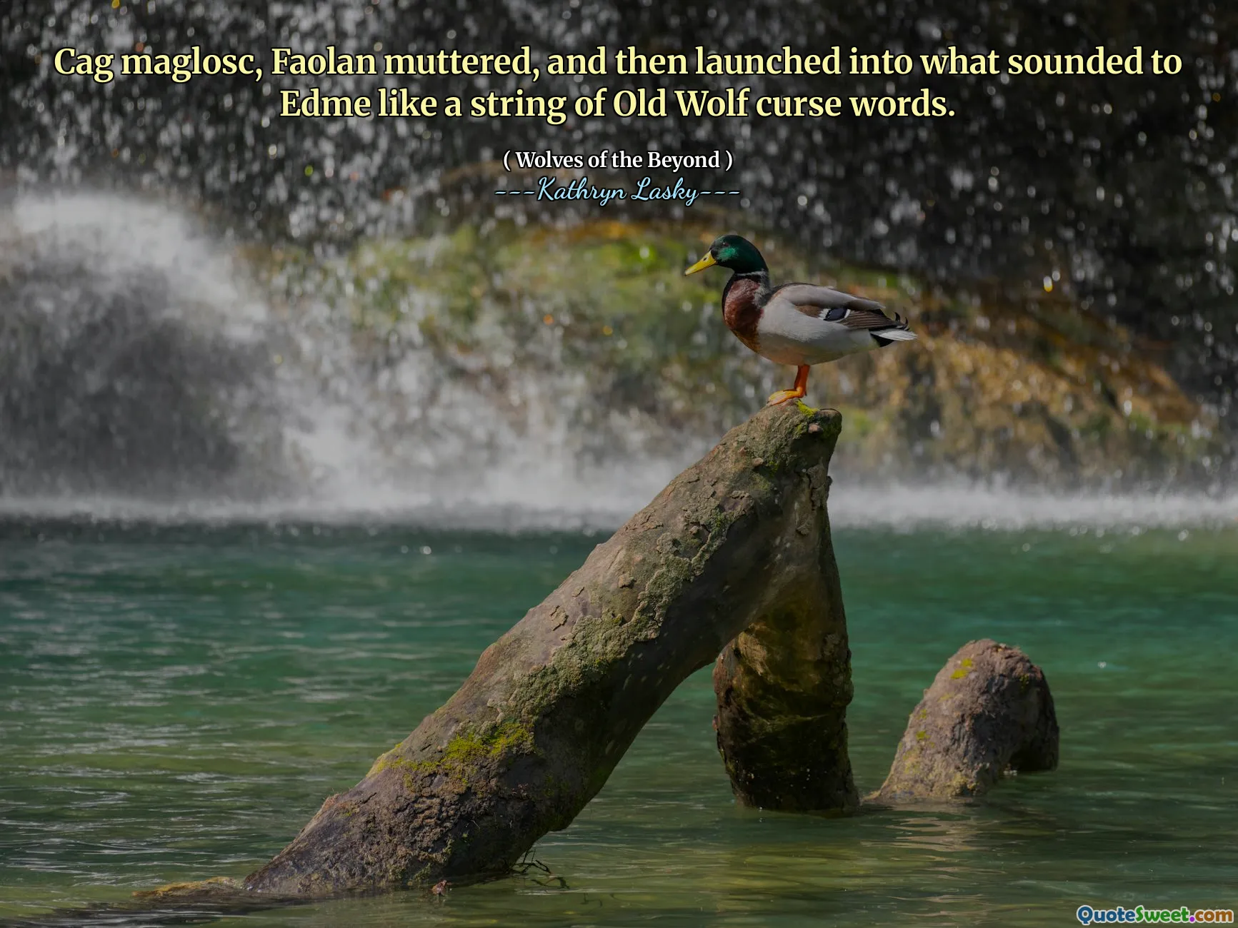 Cag maglosc, Faolan muttered, and then launched into what sounded to Edme like a string of Old Wolf curse words.