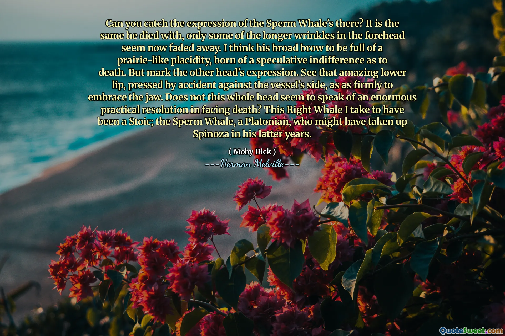 Can you catch the expression of the Sperm Whale's there? It is the same he died with, only some of the longer wrinkles in the forehead seem now faded away. I think his broad brow to be full of a prairie-like placidity, born of a speculative indifference as to death. But mark the other head's expression. See that amazing lower lip, pressed by accident against the vessel's side, as as firmly to embrace the jaw. Does not this whole head seem to speak of an enormous practical resolution in facing death? This Right Whale I take to have been a Stoic; the Sperm Whale, a Platonian, who might have taken up Spinoza in his latter years.