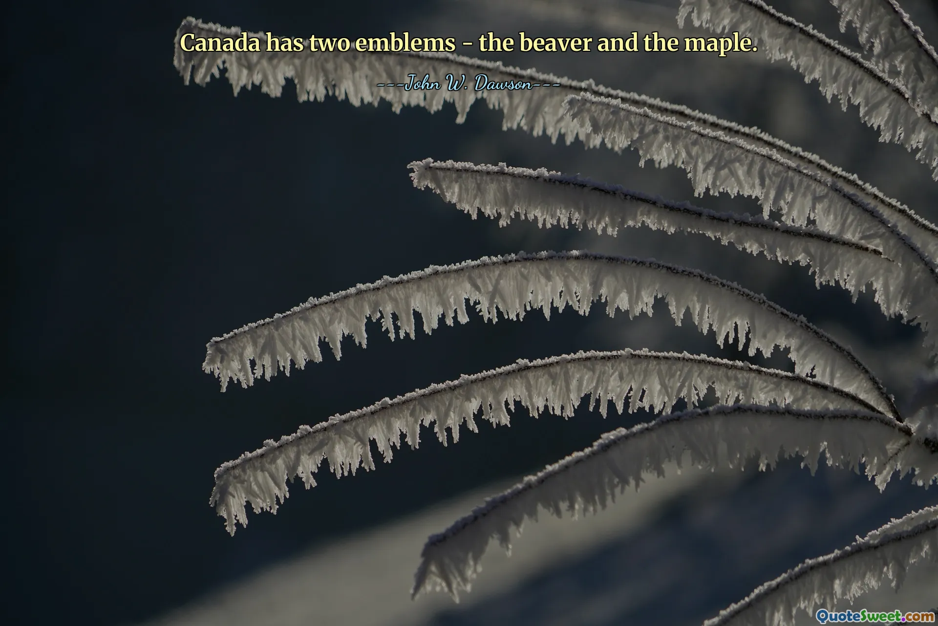 Canada has two emblems - the beaver and the maple.