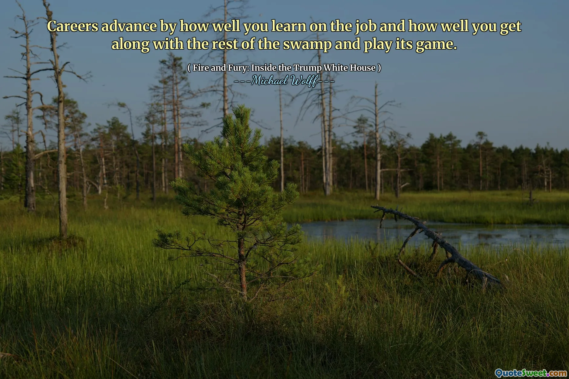 Careers advance by how well you learn on the job and how well you get along with the rest of the swamp and play its game.