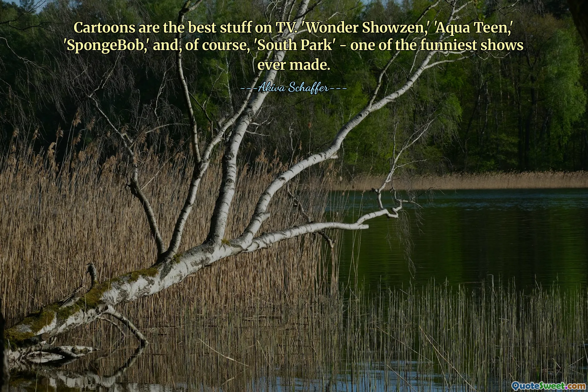 Cartoons are the best stuff on TV. 'Wonder Showzen,' 'Aqua Teen,' 'SpongeBob,' and, of course, 'South Park' - one of the funniest shows ever made.