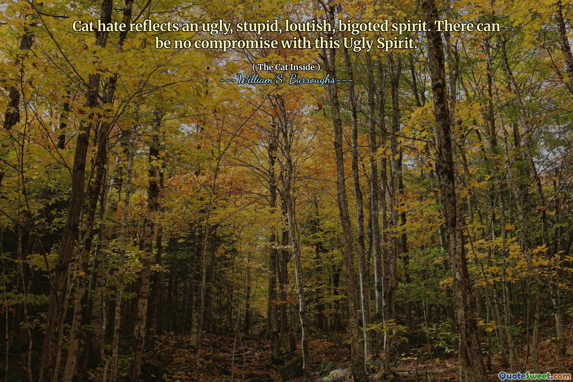 猫的仇恨反映了一种丑陋，愚蠢，loutish，偏执的精神。这种丑陋的精神无法妥协。