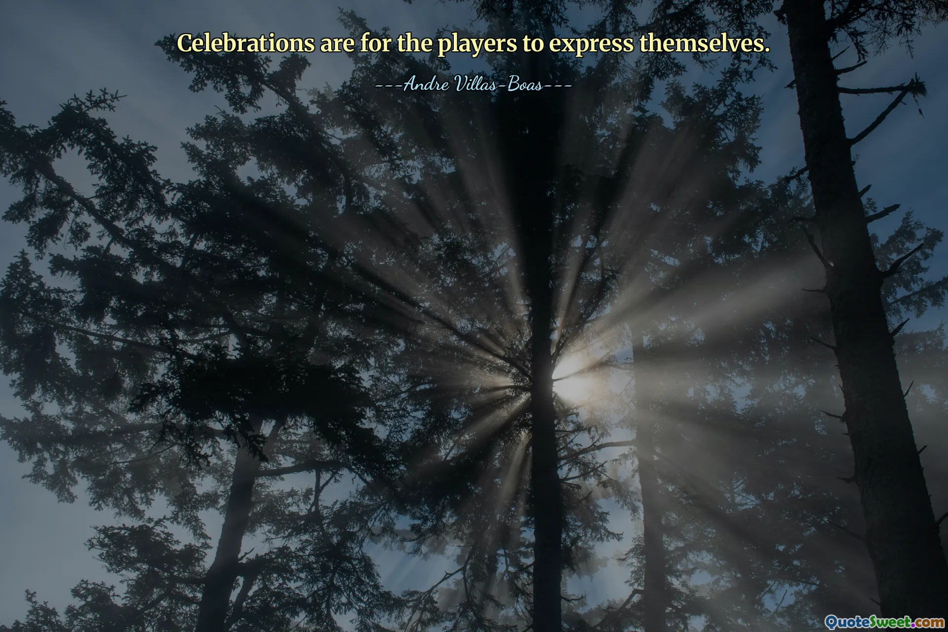 Celebrations are for the players to express themselves.