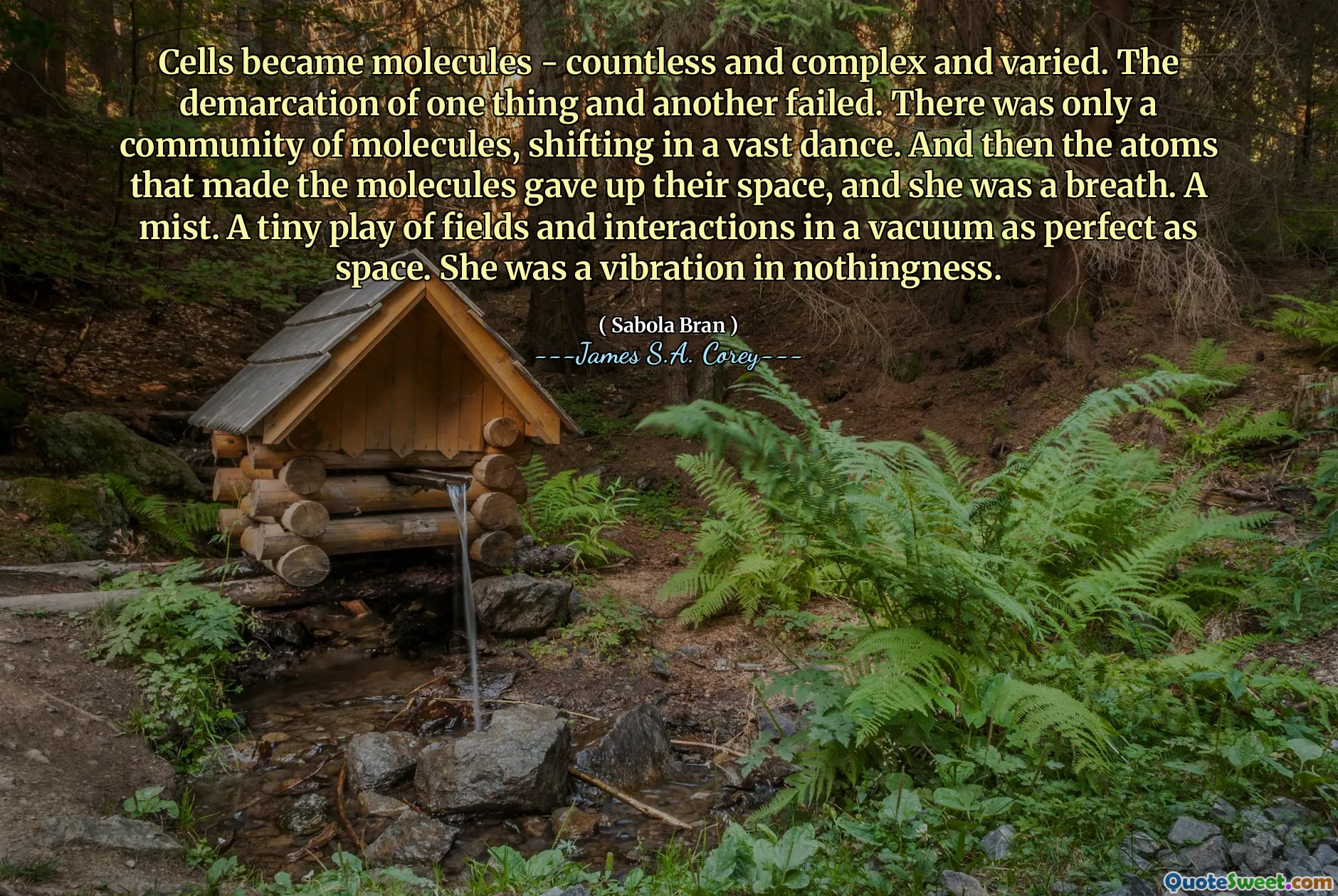 Cells became molecules - countless and complex and varied. The demarcation of one thing and another failed. There was only a community of molecules, shifting in a vast dance. And then the atoms that made the molecules gave up their space, and she was a breath. A mist. A tiny play of fields and interactions in a vacuum as perfect as space. She was a vibration in nothingness.