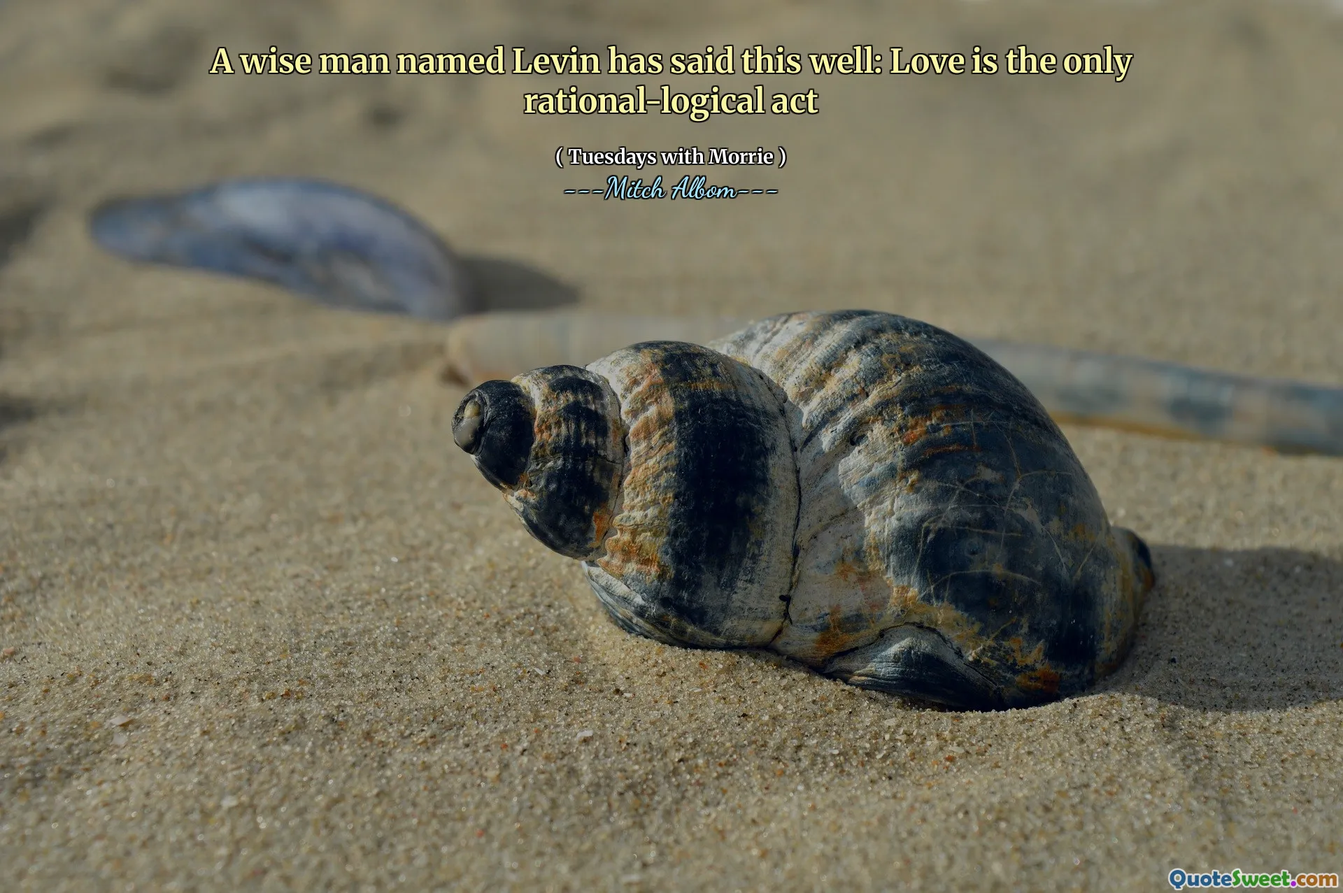 A wise man named Levin has said this well: Love is the only rational-logical act