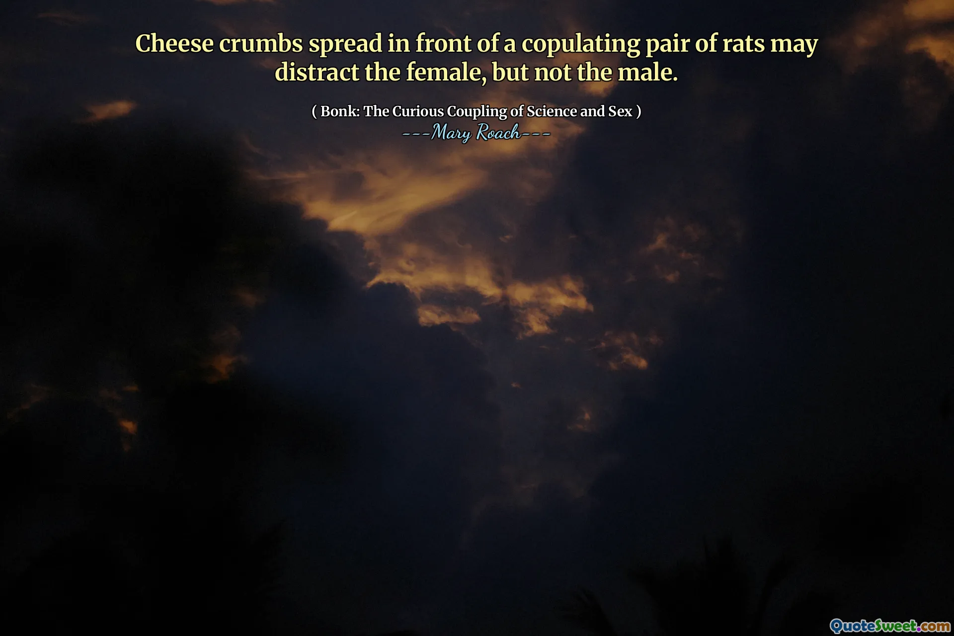 Cheese crumbs spread in front of a copulating pair of rats may distract the female, but not the male.