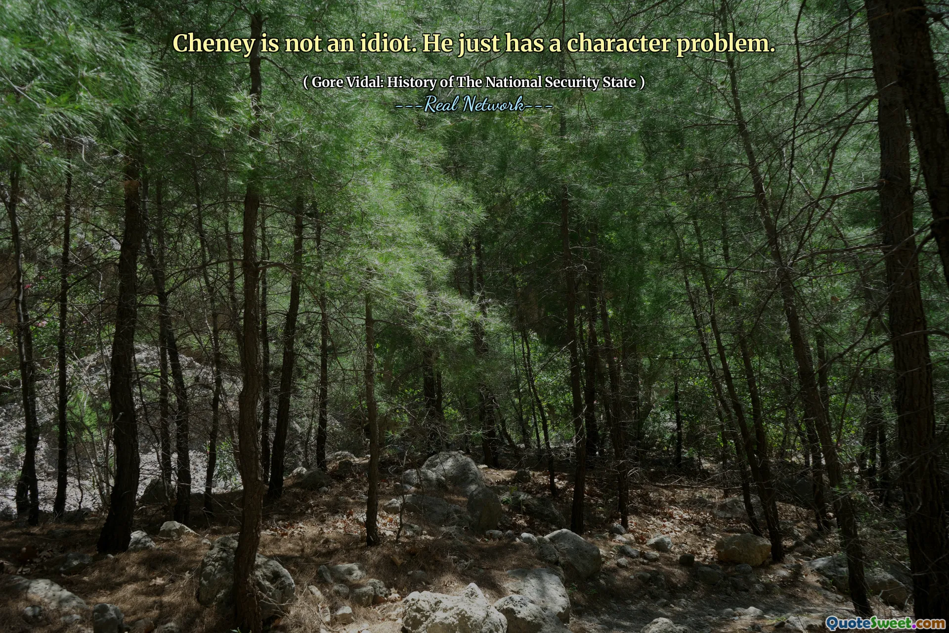 Cheney is not an idiot. He just has a character problem.