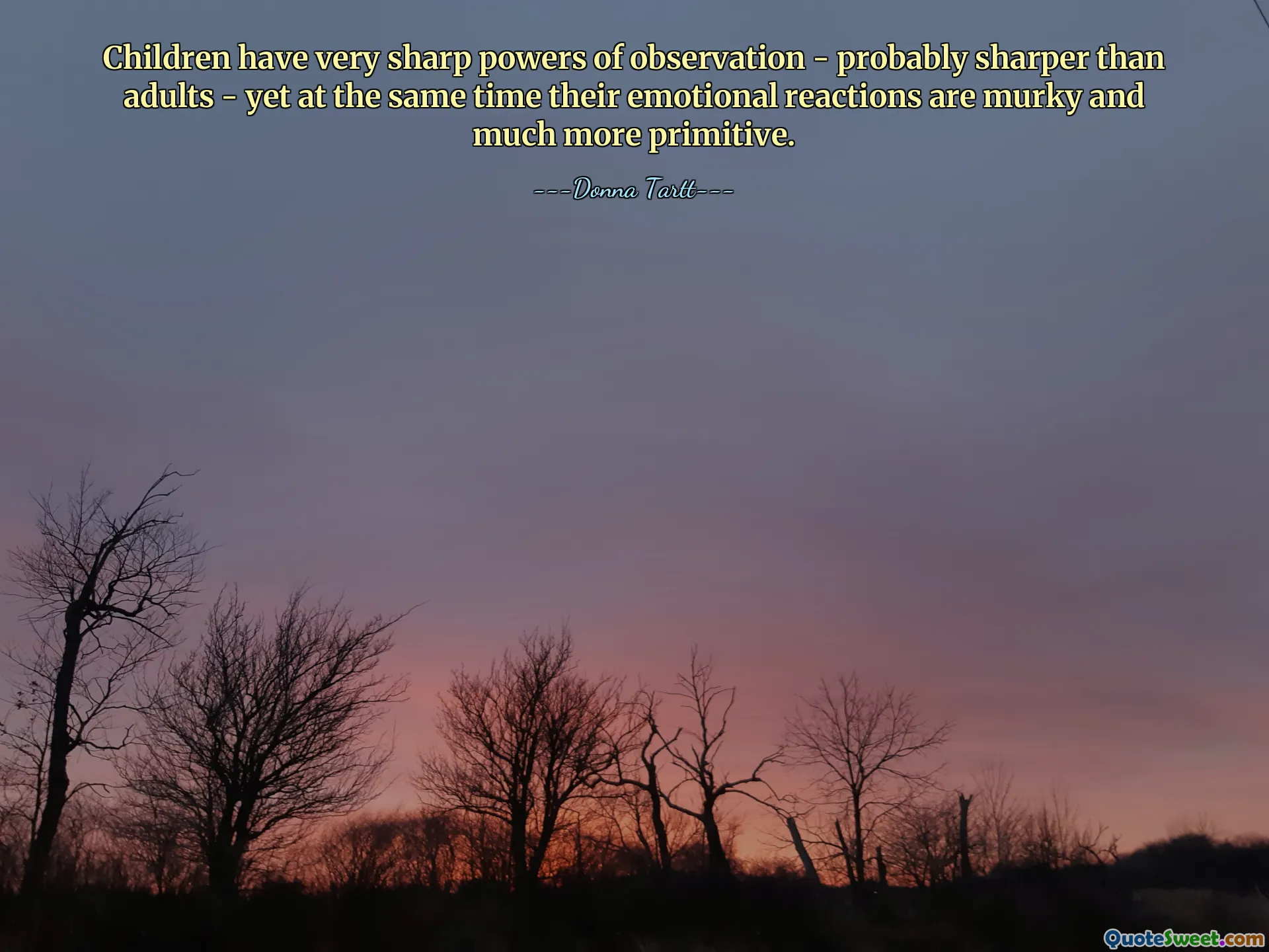 儿童具有非常敏锐的观察力——可能比成年人更敏锐——但与此同时，他们的情绪反应却是模糊且原始的。