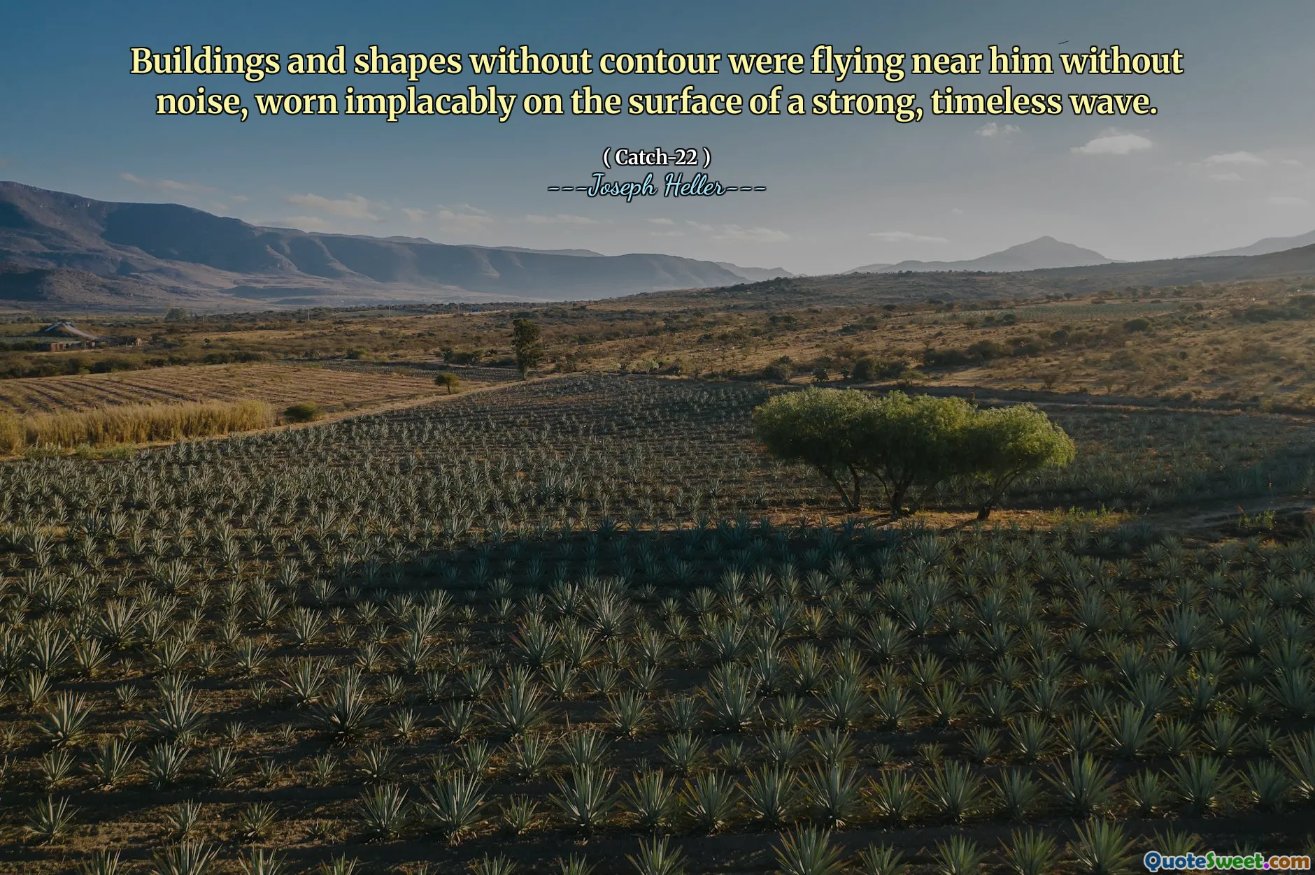 Buildings and shapes without contour were flying near him without noise, worn implacably on the surface of a strong, timeless wave.