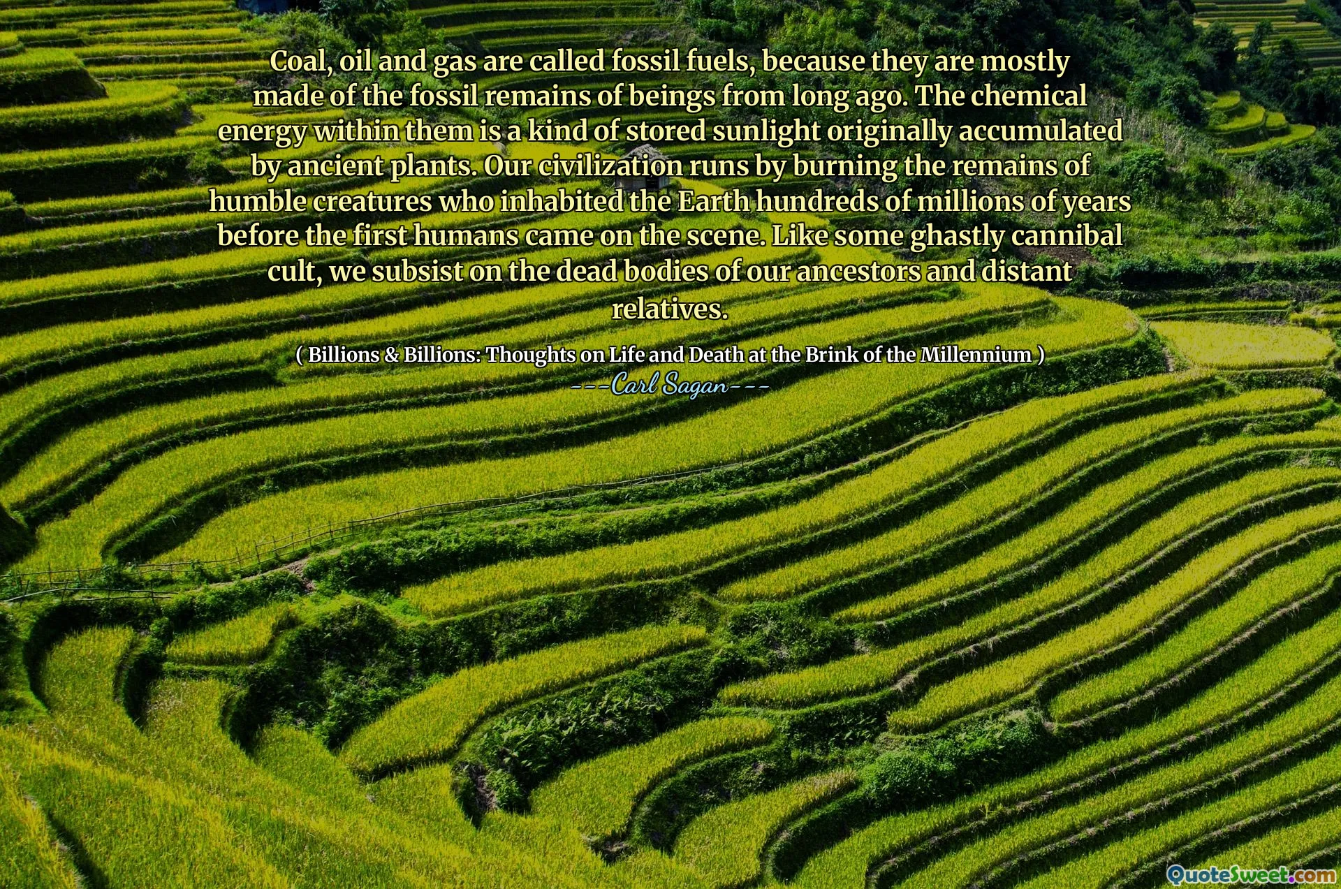 Coal, oil and gas are called fossil fuels, because they are mostly made of the fossil remains of beings from long ago. The chemical energy within them is a kind of stored sunlight originally accumulated by ancient plants. Our civilization runs by burning the remains of humble creatures who inhabited the Earth hundreds of millions of years before the first humans came on the scene. Like some ghastly cannibal cult, we subsist on the dead bodies of our ancestors and distant relatives.