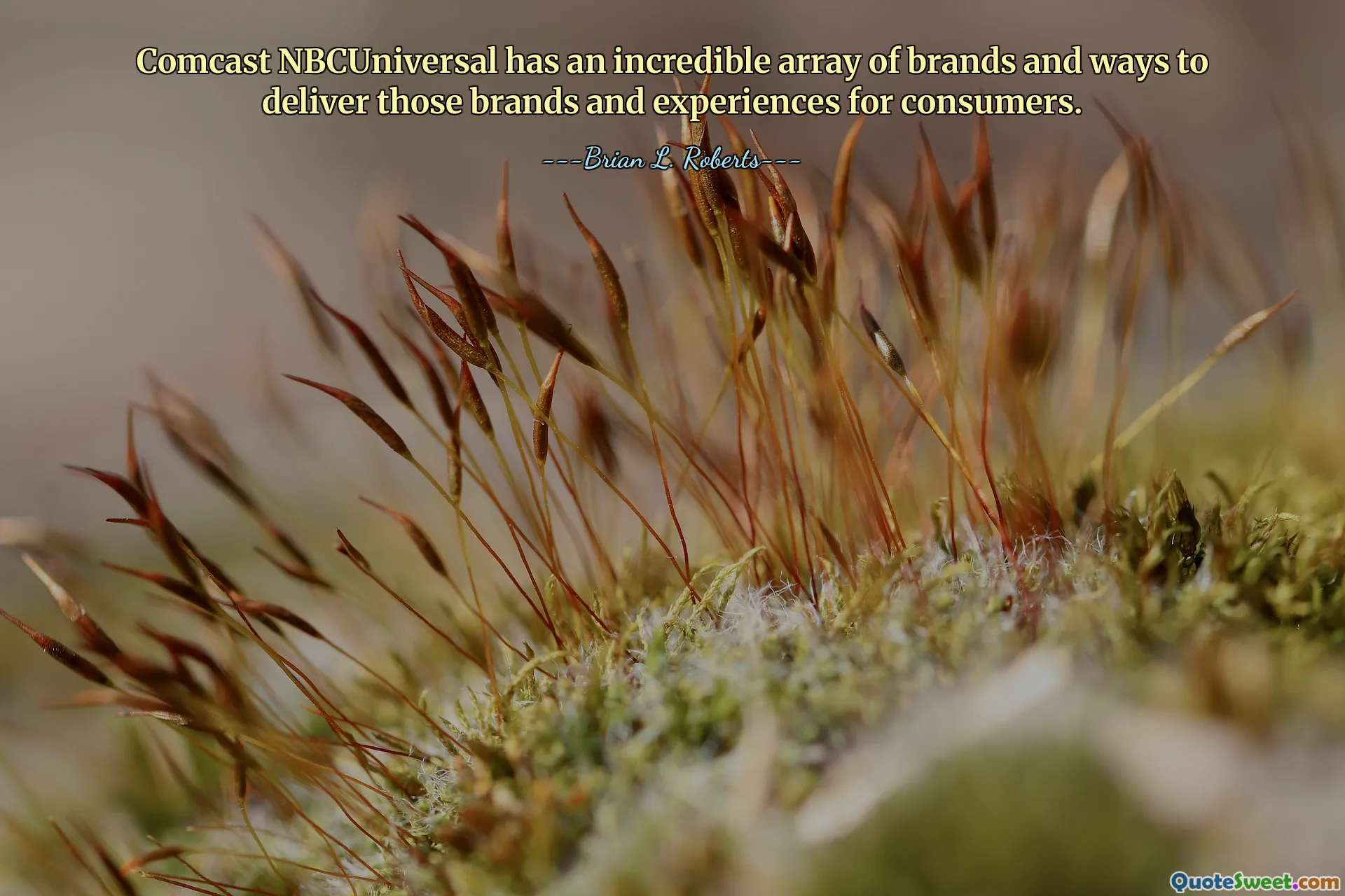 Comcast NBCUniversal has an incredible array of brands and ways to deliver those brands and experiences for consumers.