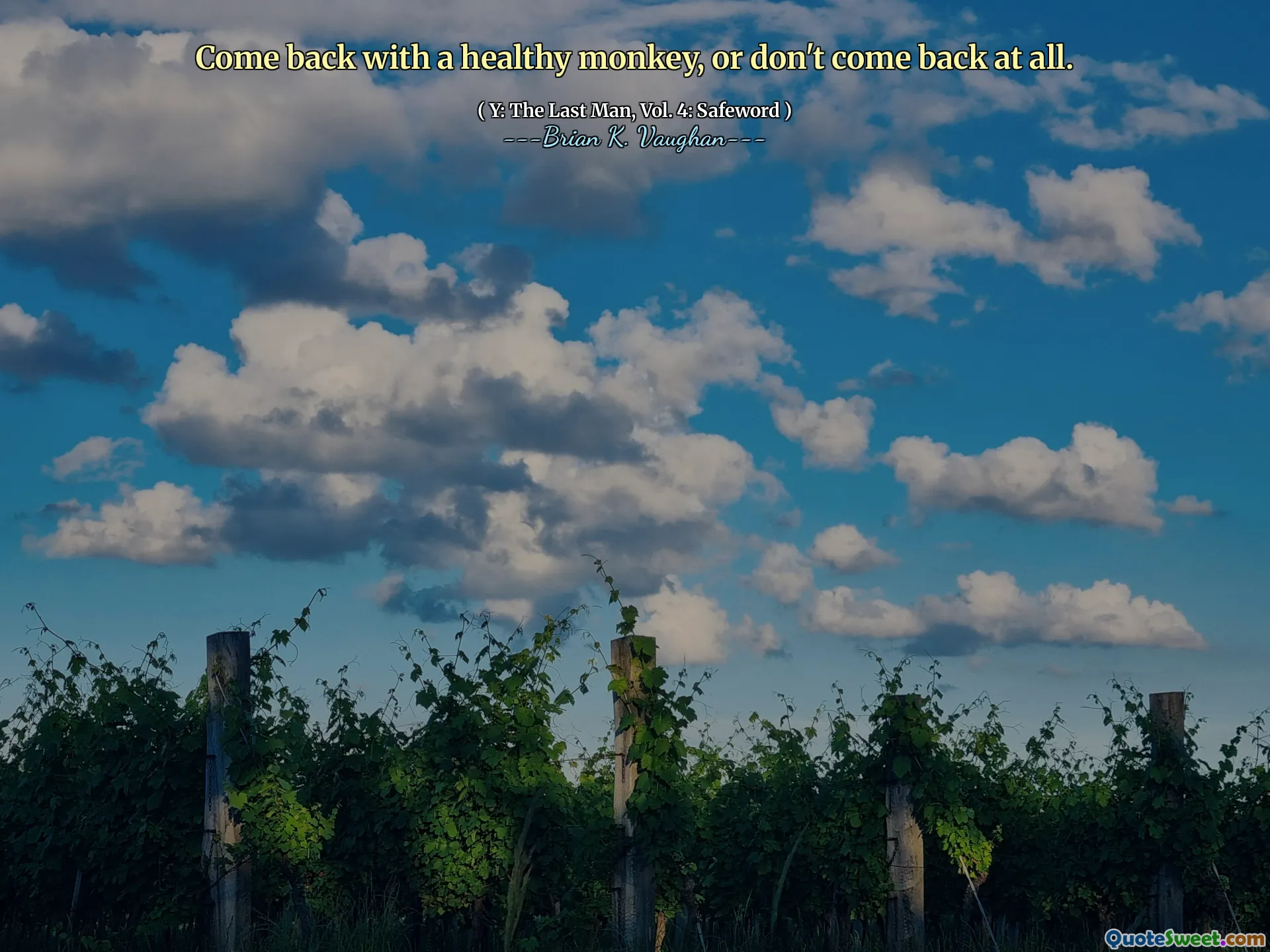 Come back with a healthy monkey, or don't come back at all.