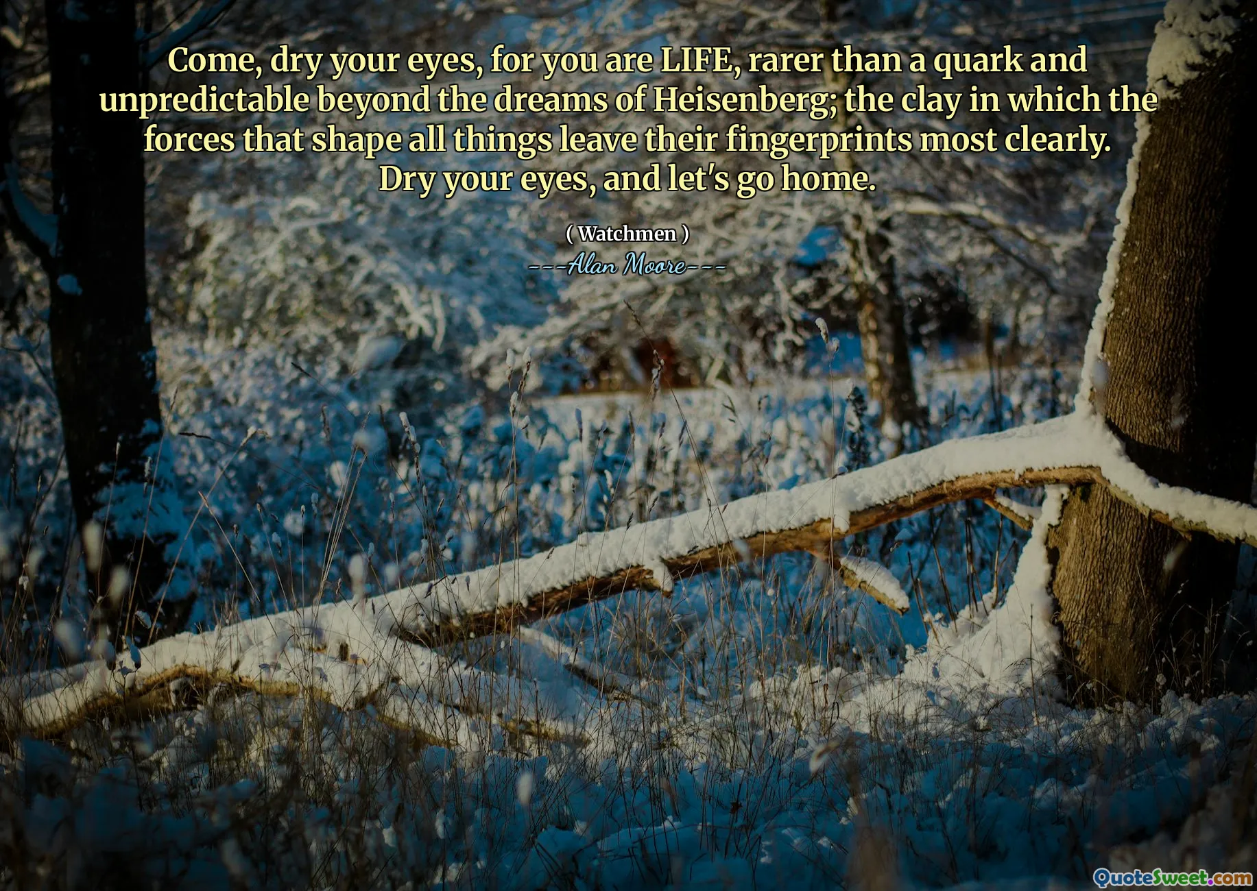 Come, dry your eyes, for you are LIFE, rarer than a quark and unpredictable beyond the dreams of Heisenberg; the clay in which the forces that shape all things leave their fingerprints most clearly. Dry your eyes, and let's go home.