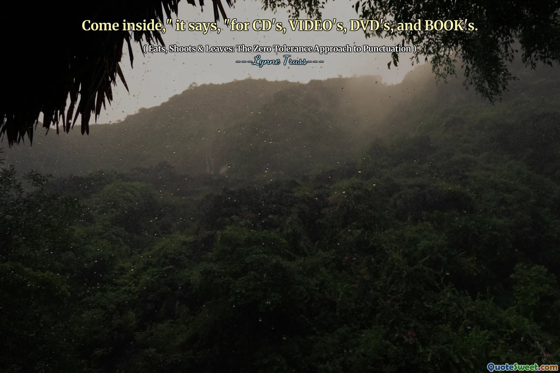 Come inside," it says, "for CD's, VIDEO's, DVD's, and BOOK's.