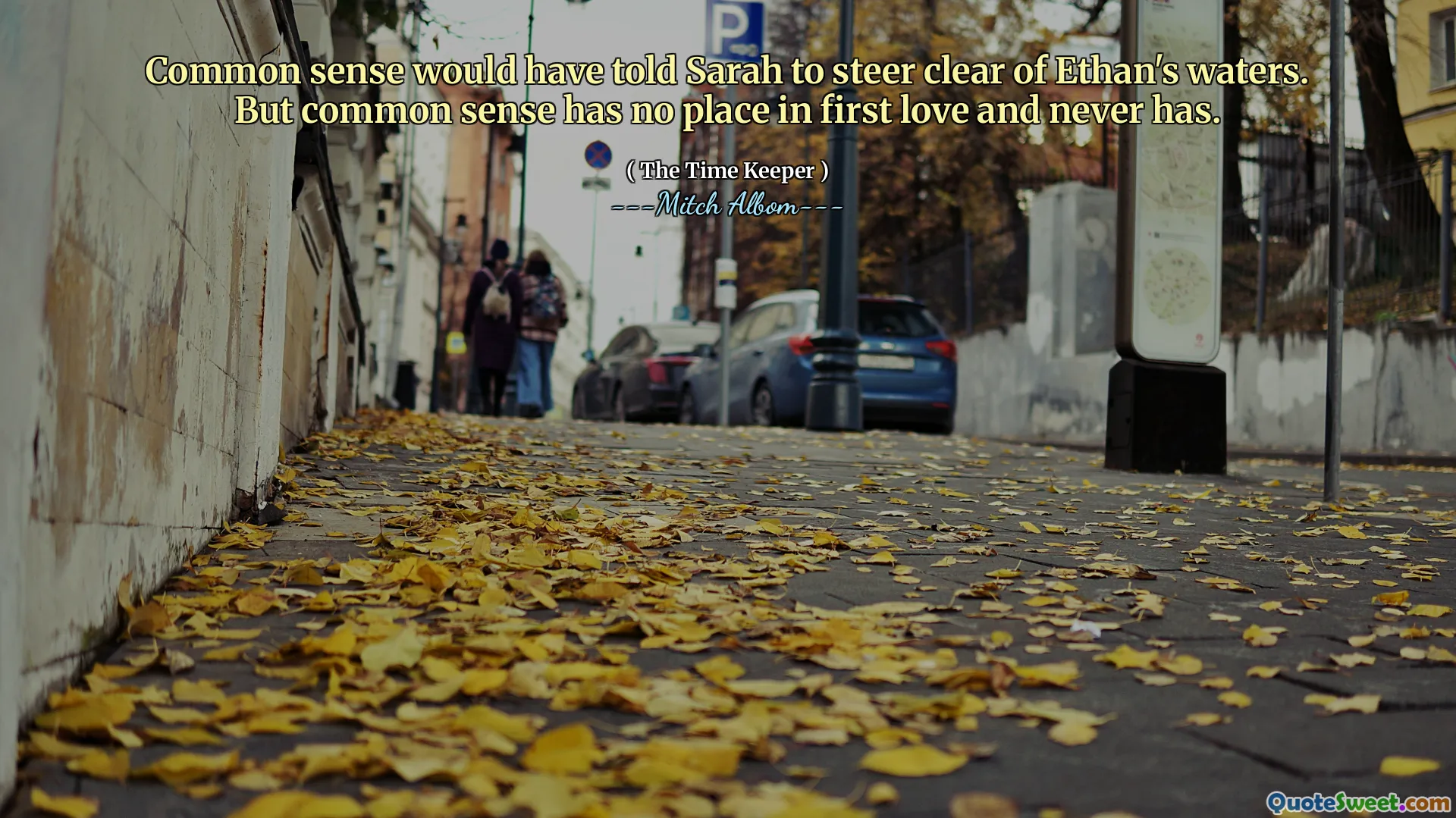 Il buon senso avrebbe detto a Sarah di evitare le acque di Ethan. Ma il buon senso non ha posto nel primo amore e non l'ha mai fatto.
