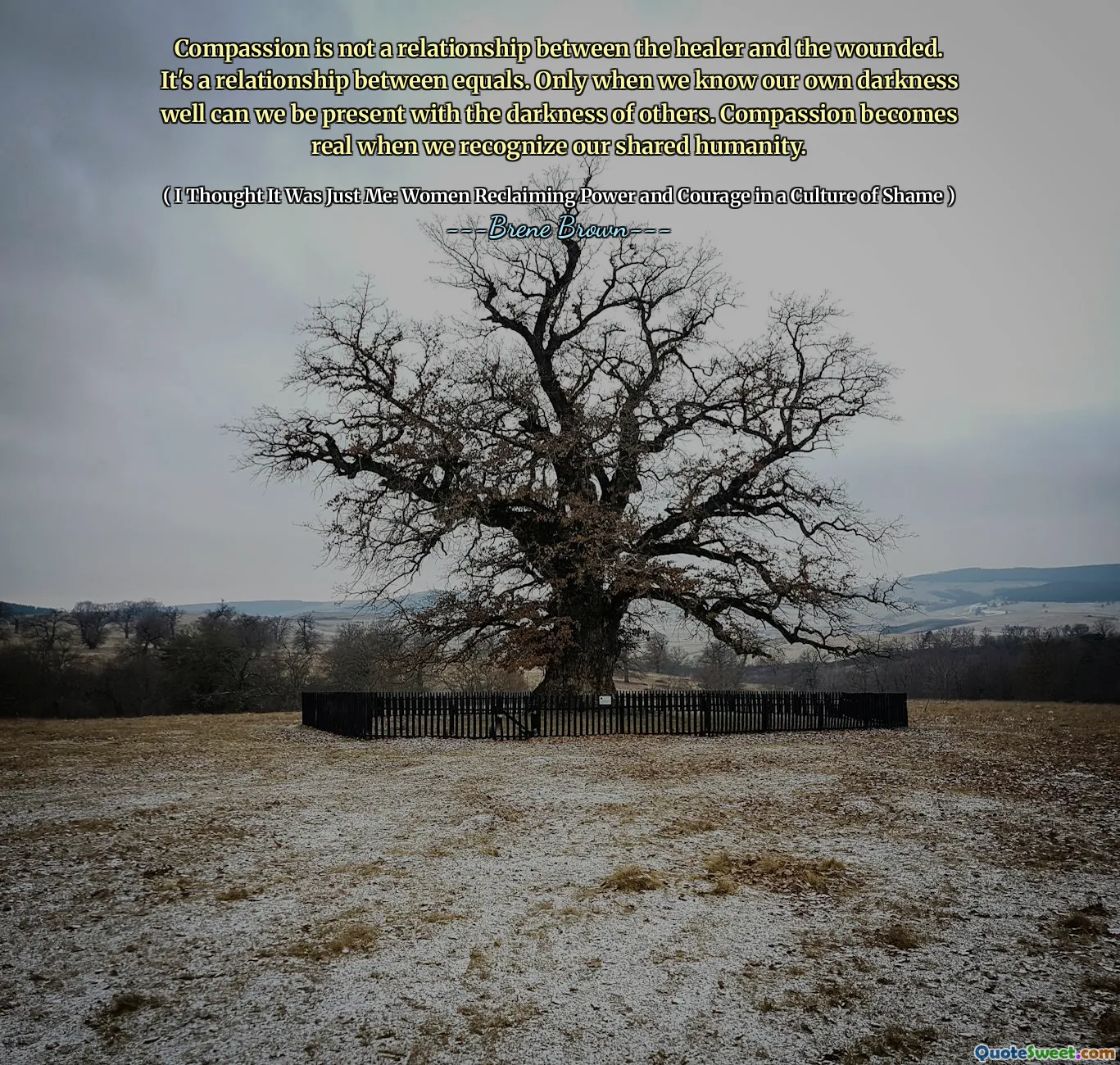 Compassion is not a relationship between the healer and the wounded. It's a relationship between equals. Only when we know our own darkness well can we be present with the darkness of others. Compassion becomes real when we recognize our shared humanity.