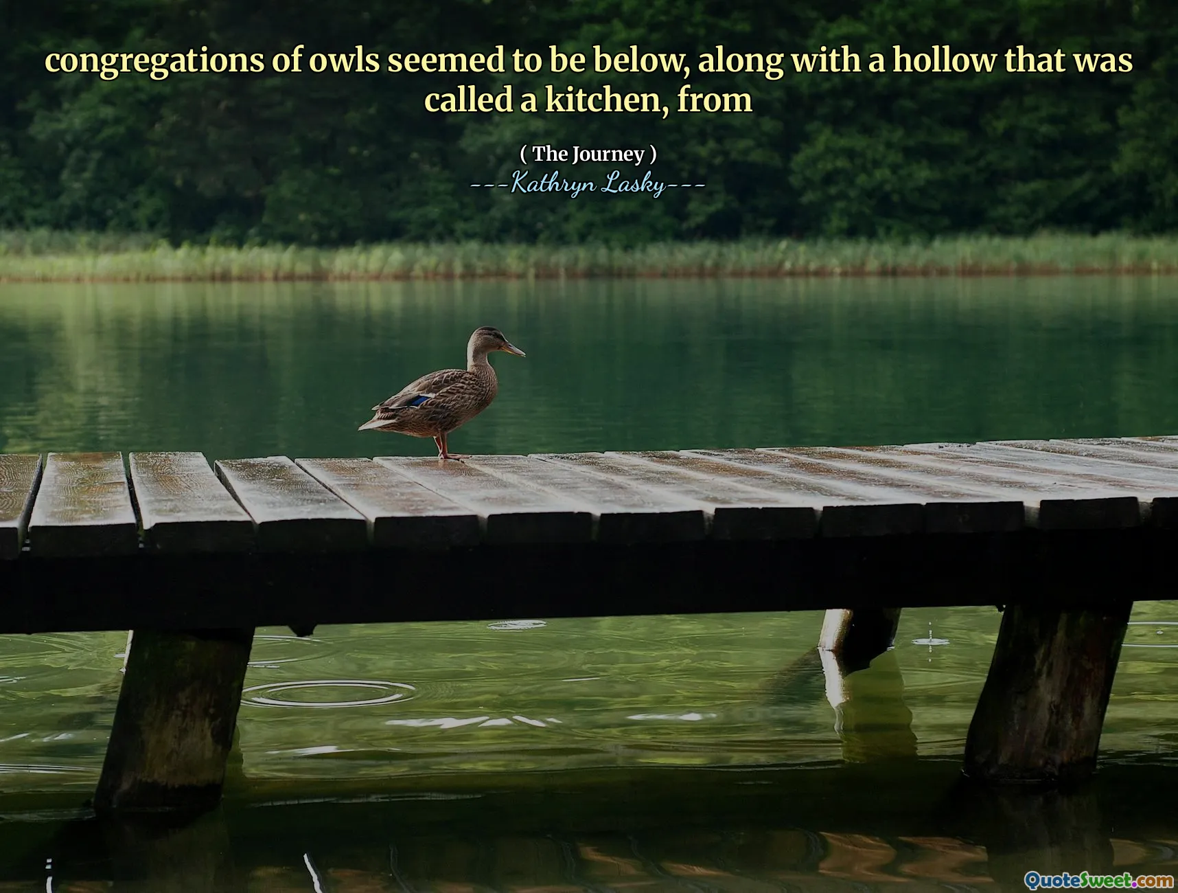 congregations of owls seemed to be below, along with a hollow that was called a kitchen, from