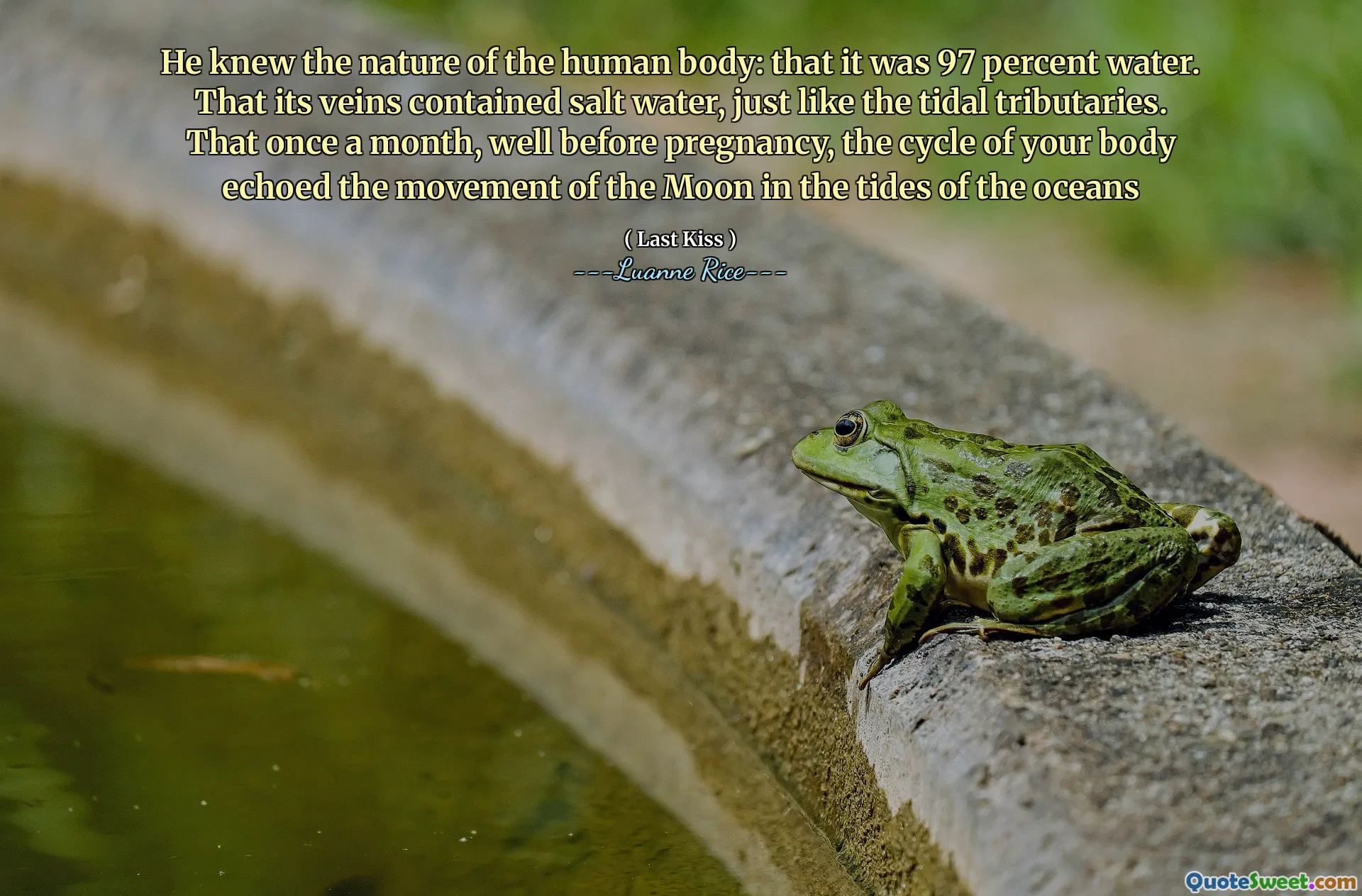 Știa natura corpului uman: că era 97 la sută apă. Că venele sale conțineau apă sărată, la fel ca afluenții de maree. Că o dată pe lună, cu mult înainte de sarcină, ciclul corpului tău a răsunat mișcarea lunii în valurile oceanelor