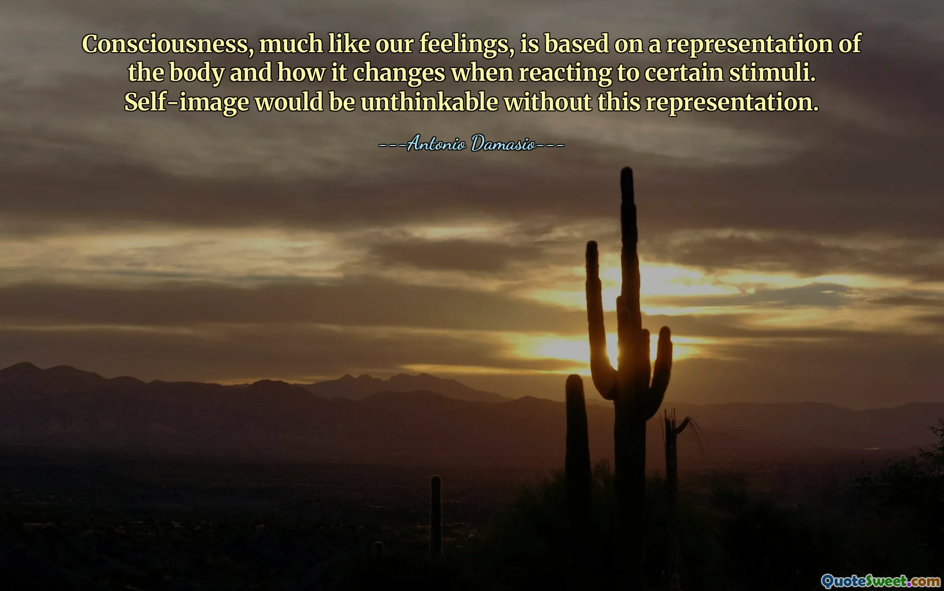 Consciousness, much like our feelings, is based on a representation of the body and how it changes when reacting to certain stimuli. Self-image would be unthinkable without this representation.