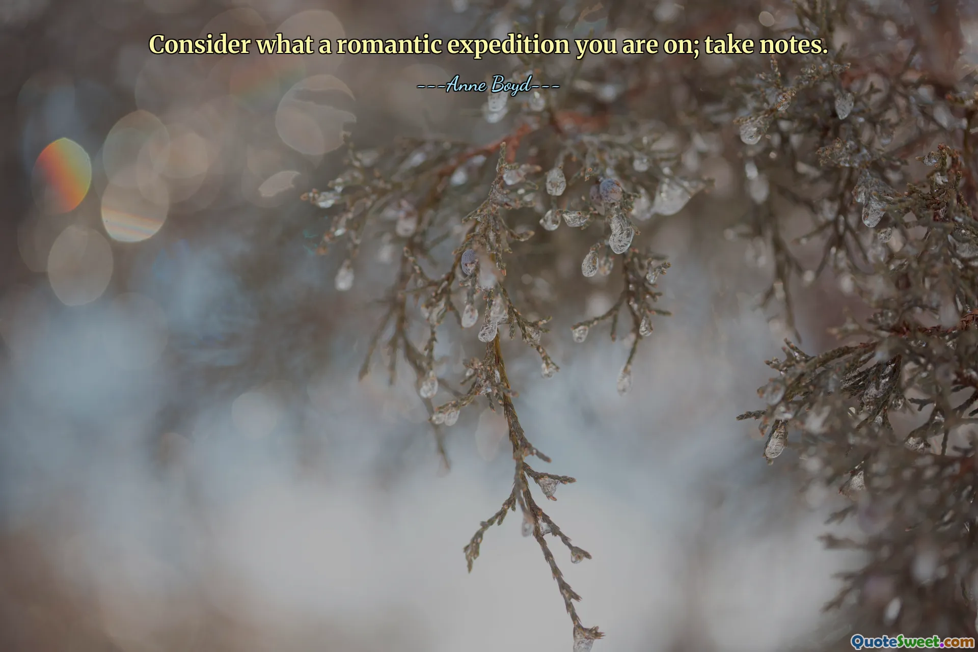 Consider what a romantic expedition you are on; take notes.