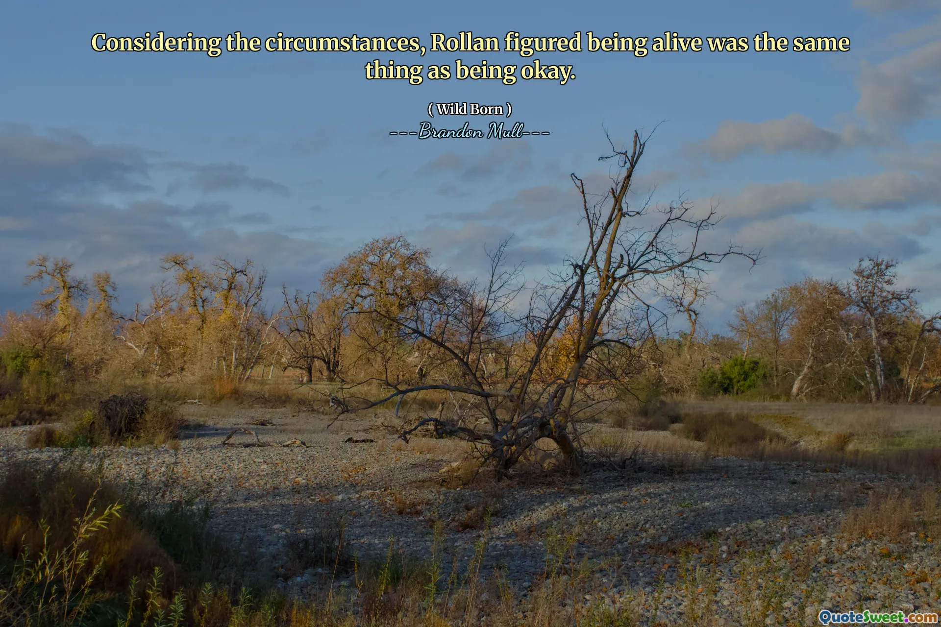 Considering the circumstances, Rollan figured being alive was the same thing as being okay.