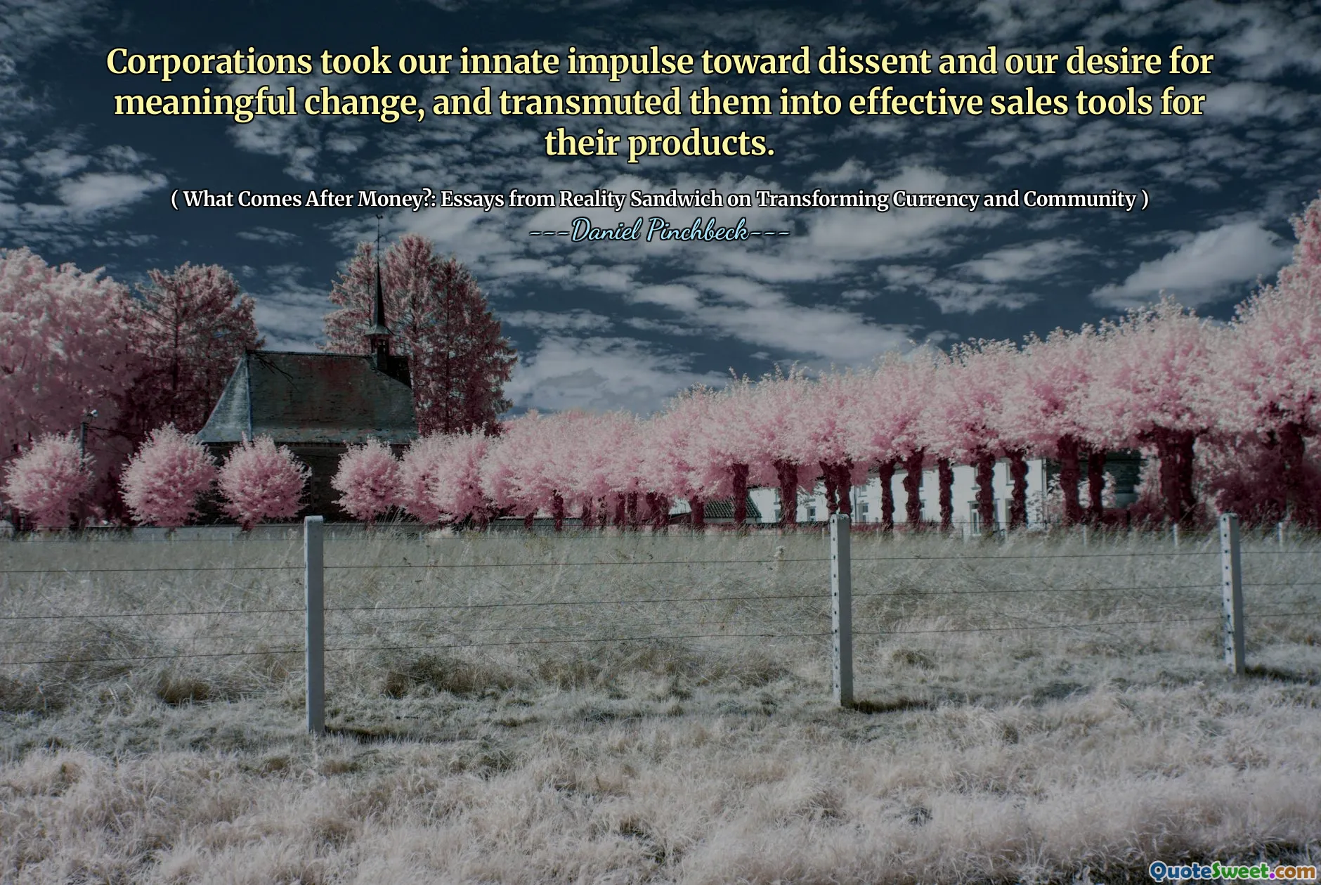 Corporations took our innate impulse toward dissent and our desire for meaningful change, and transmuted them into effective sales tools for their products.