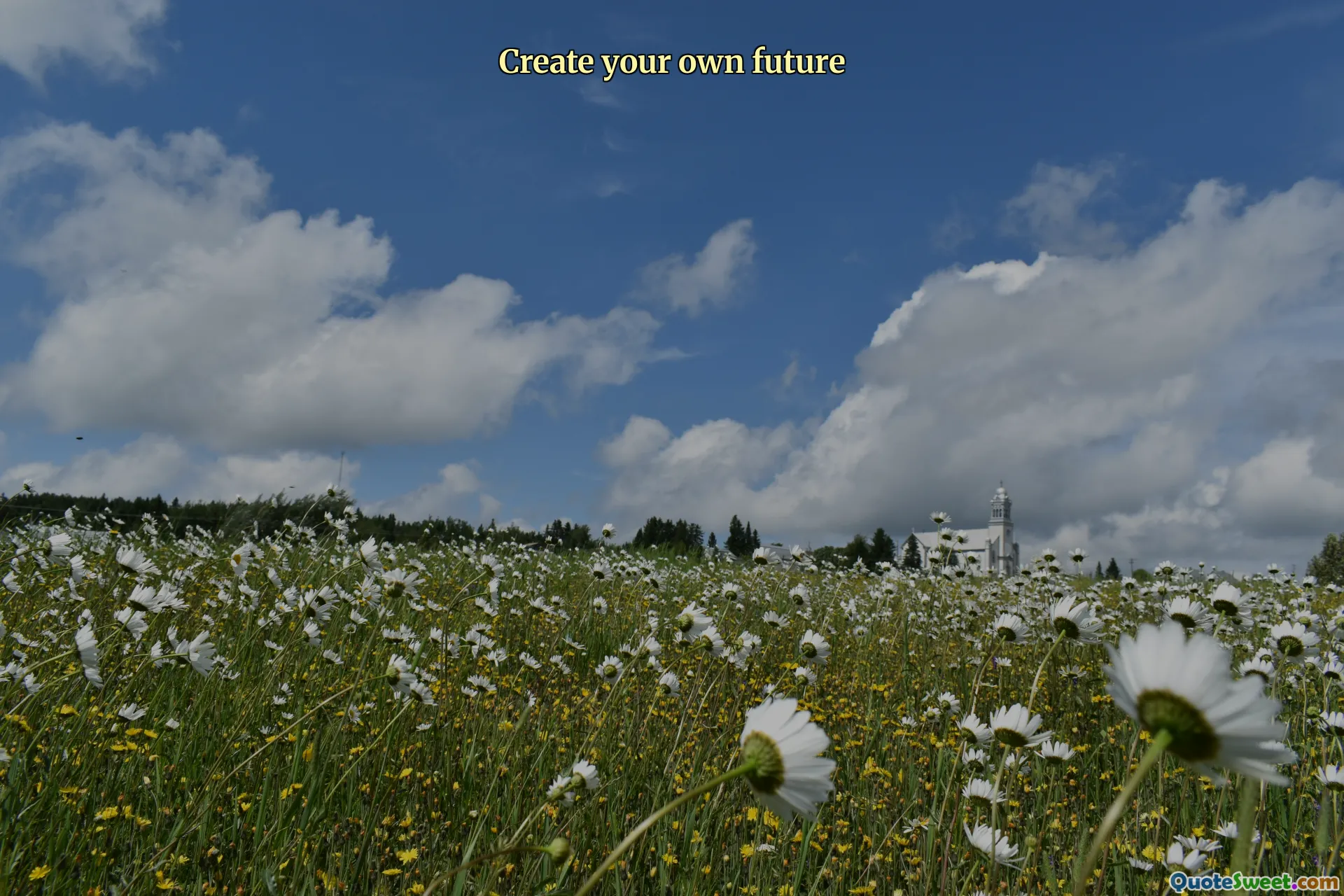 Create your own future