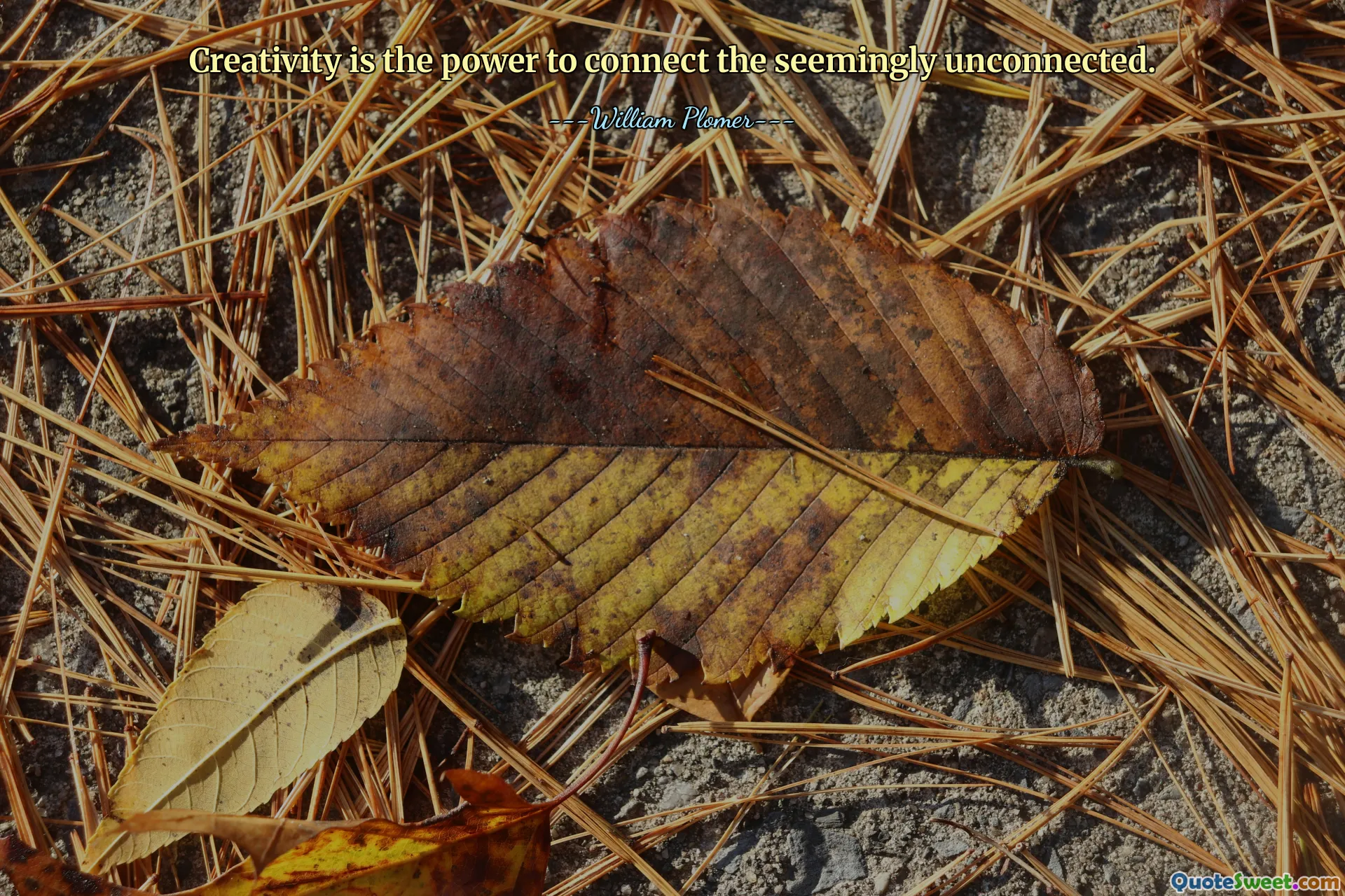 La créativité est le pouvoir de connecter ce qui semble déconnecté.