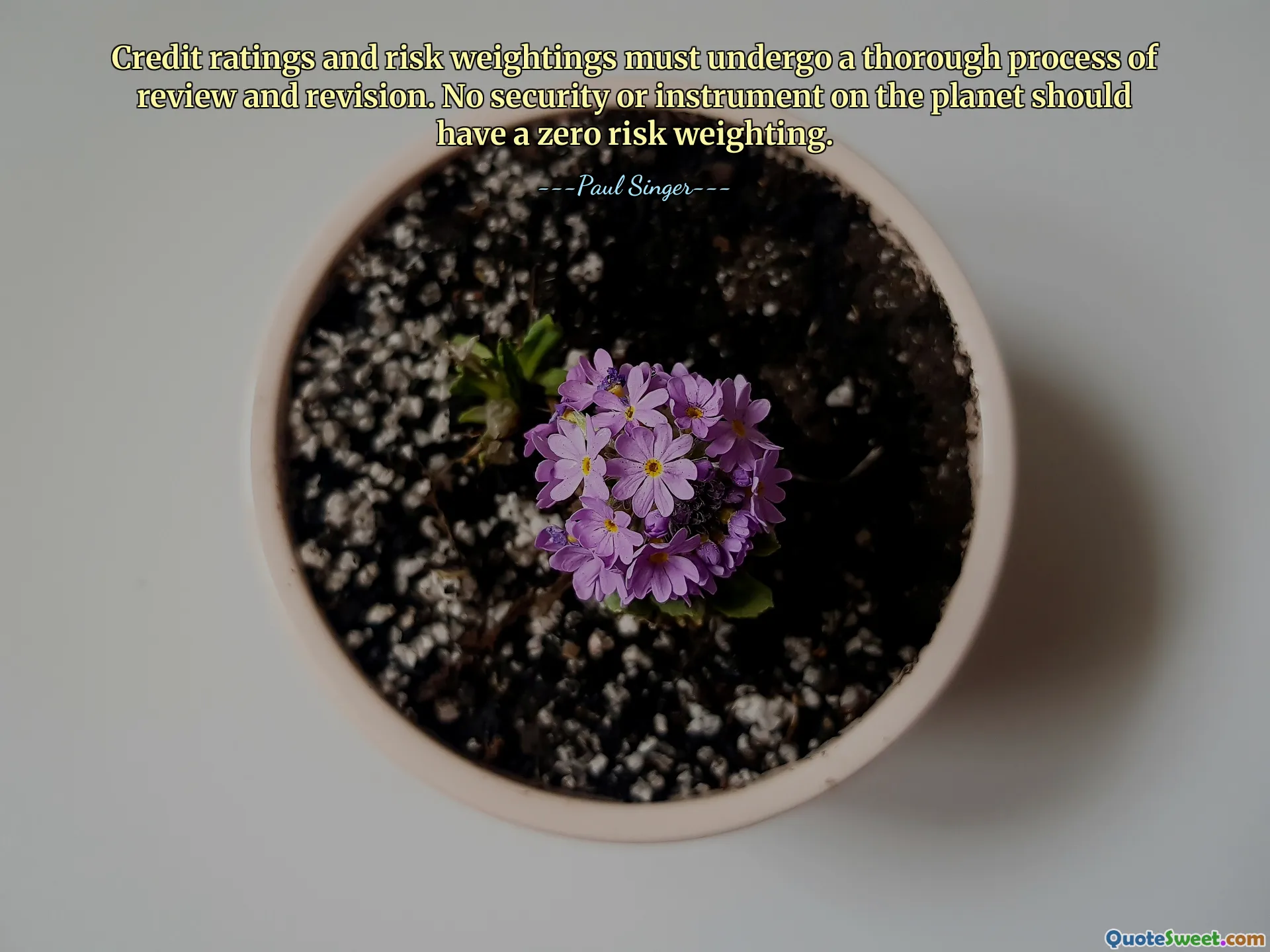 Credit ratings and risk weightings must undergo a thorough process of review and revision. No security or instrument on the planet should have a zero risk weighting.