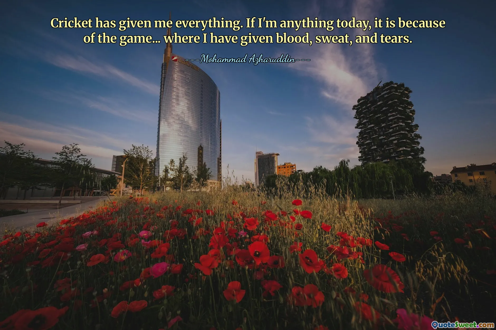 Cricket me lo ha dado todo. Si algo soy hoy es por el juego... donde he dado sangre, sudor y lágrimas.