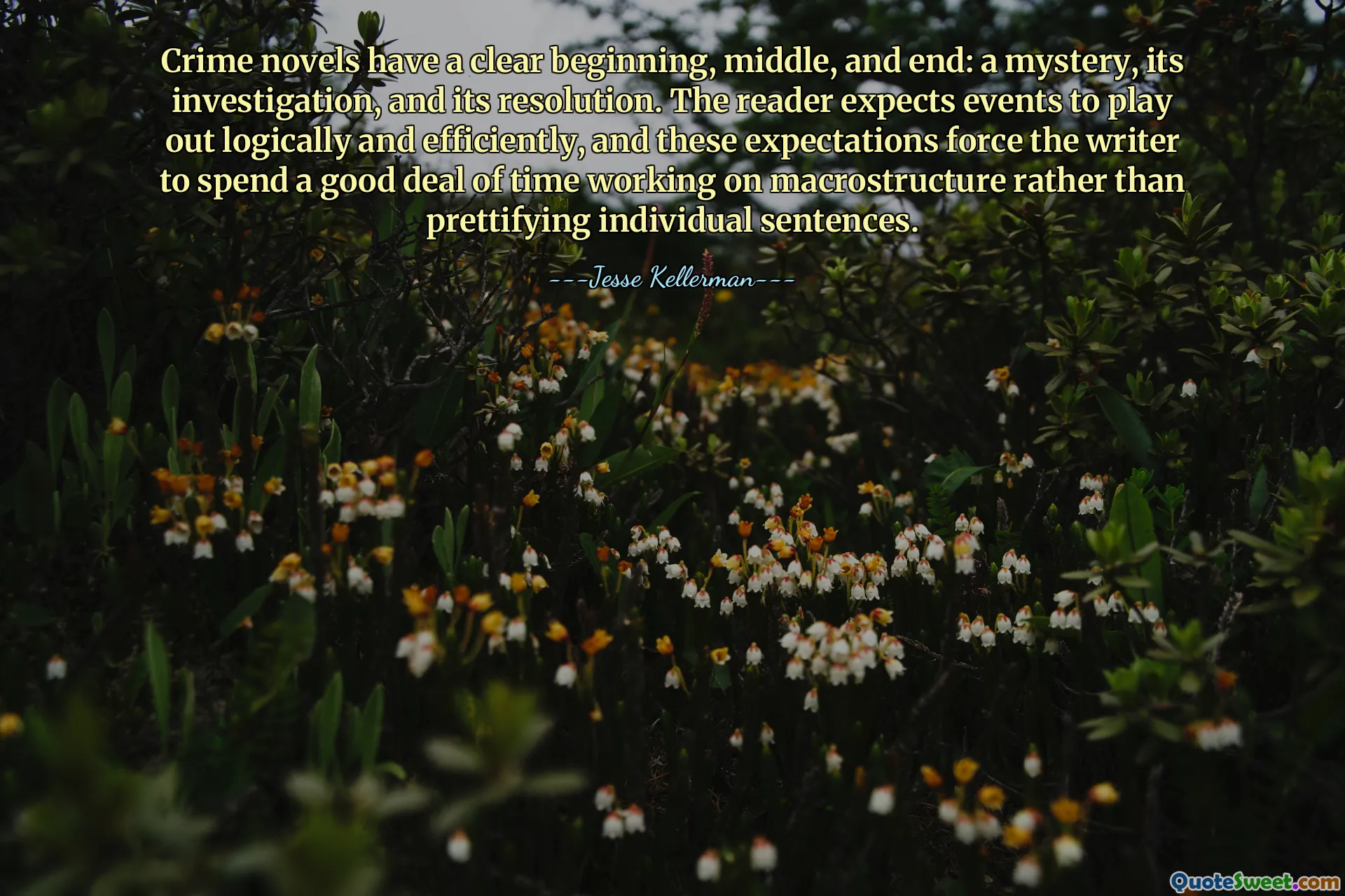 犯罪小说有明确的开头、中间和结尾：一个谜团、它的调查和它的解决。读者期望事件能够逻辑有效地展开，这些期望迫使作者花大量时间研究宏观结构，而不是美化单个句子。