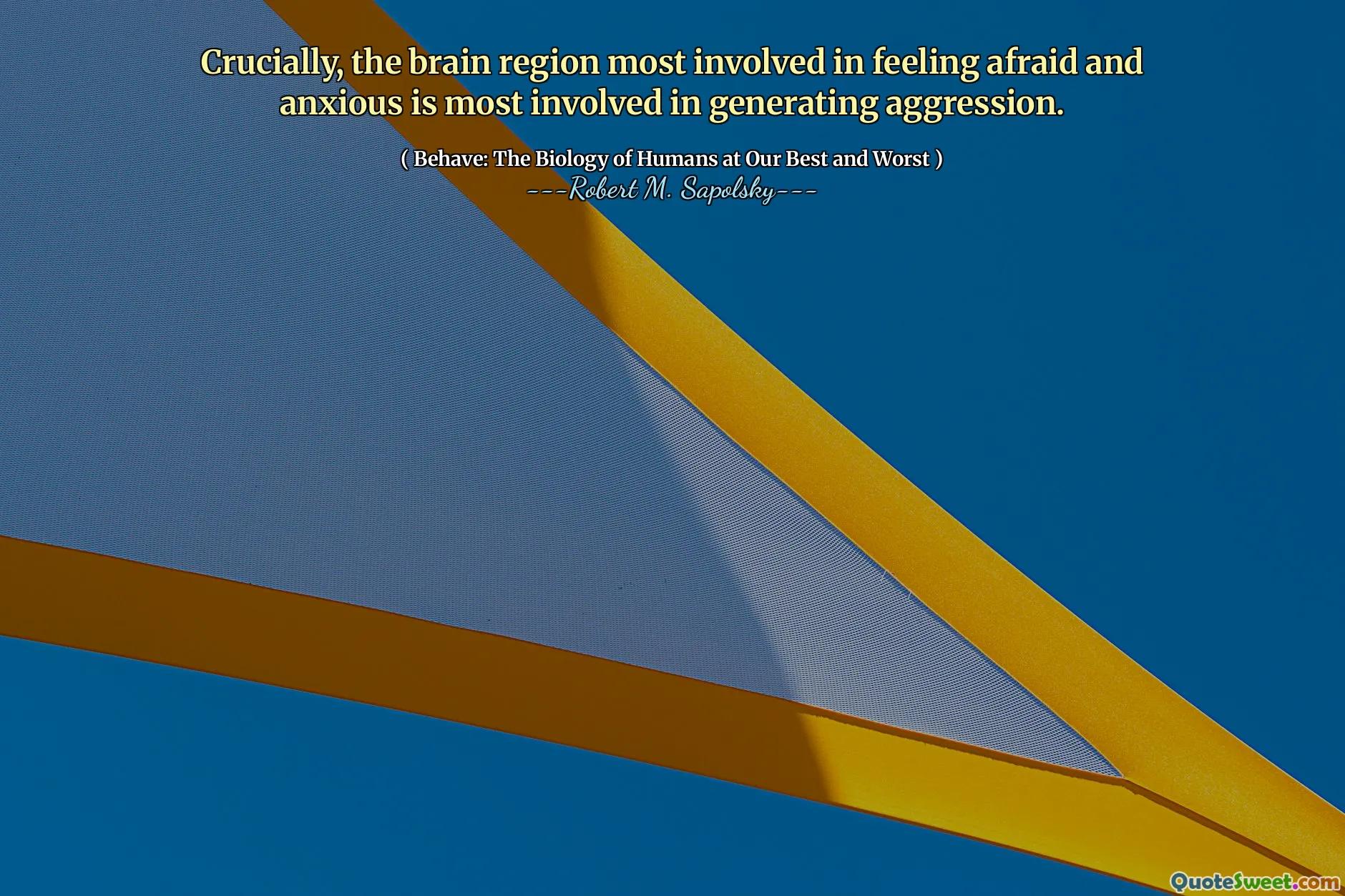 Crucially, the brain region most involved in feeling afraid and anxious is most involved in generating aggression.