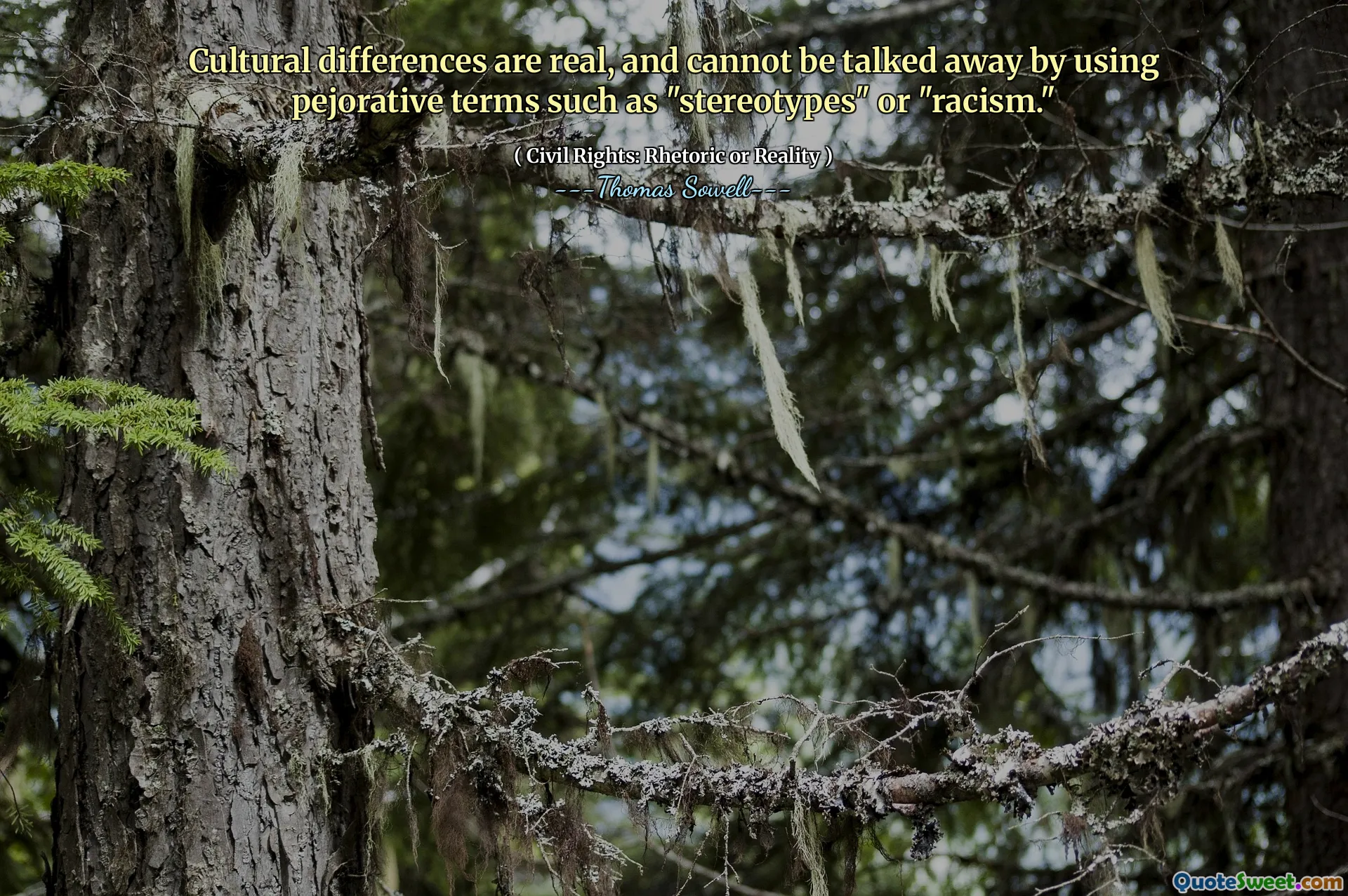 Cultural differences are real, and cannot be talked away by using pejorative terms such as "stereotypes" or "racism."