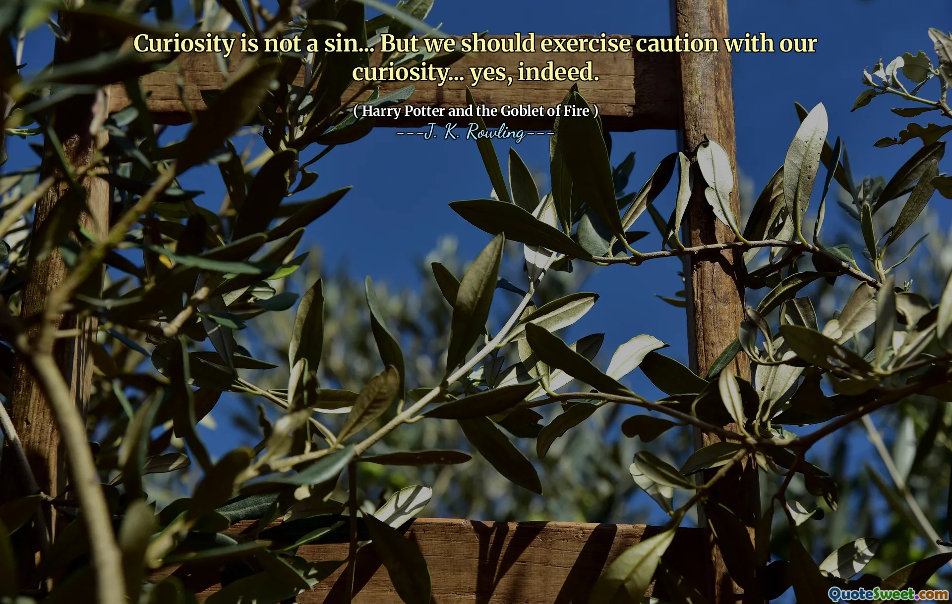 Curiosity is not a sin... But we should exercise caution with our curiosity... yes, indeed.