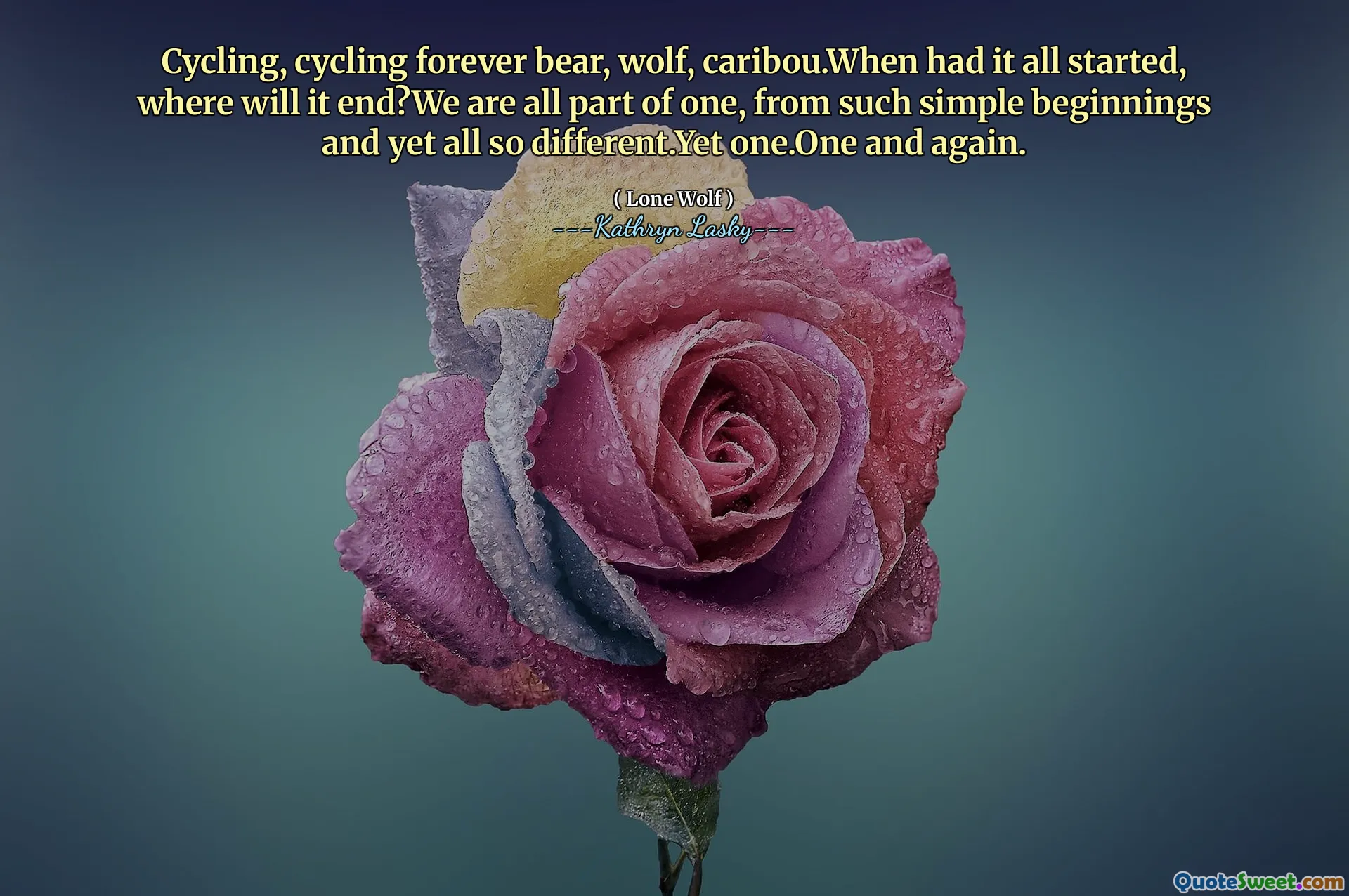 Cykling, cykling för evigt björn, varg, caribou. När hade allt börjat, var kommer det att sluta? Vi är alla en del av en, från så enkla början och ändå alla så annorlunda.