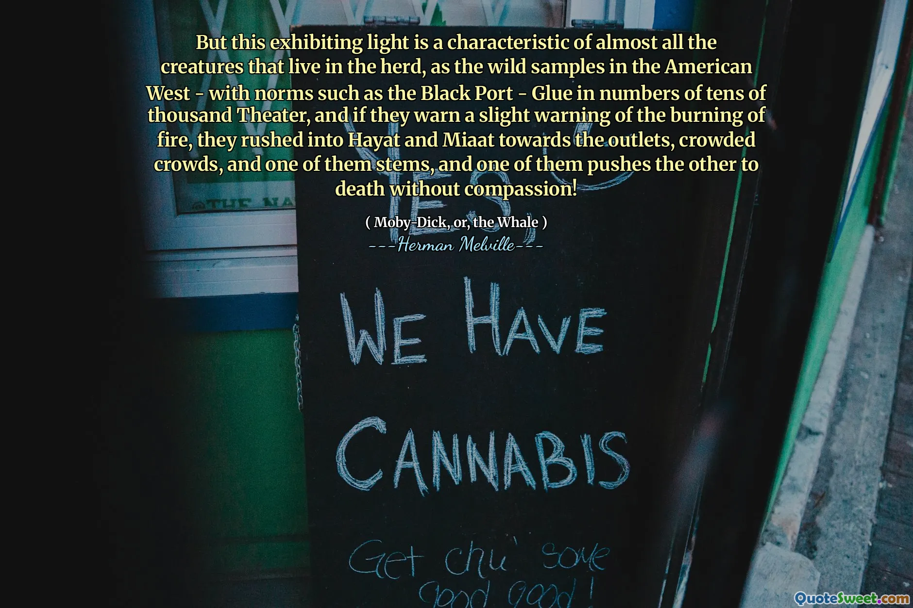 但是，这种陈列光是几乎所有生活在牛群中的生物的特征，就像美国西部的野外样本一样 - 具有黑色港口等规范 - 胶水数以为数万个剧院，如果他们警告燃烧火的稍微警告，他们会冲向海亚特和米亚特（Hayat）和米亚特（Miaat），朝着拥挤的crowds，一个人脉动，一个人脉动，并推动了另一个人！