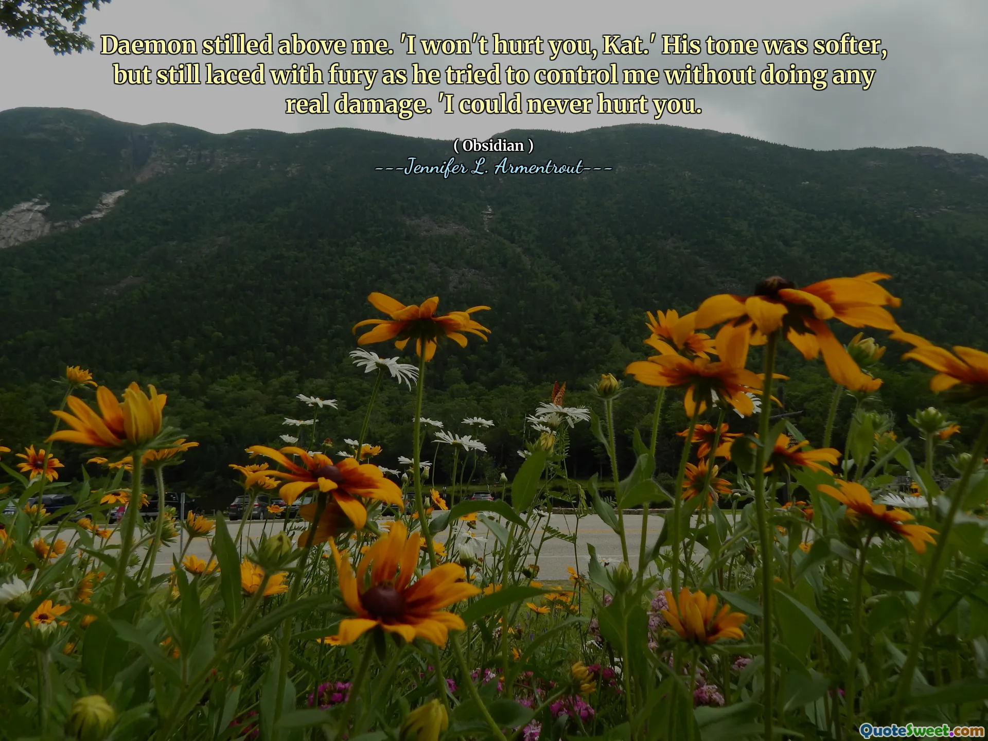 Daemon stilled above me. 'I won't hurt you, Kat.' His tone was softer, but still laced with fury as he tried to control me without doing any real damage. 'I could never hurt you.