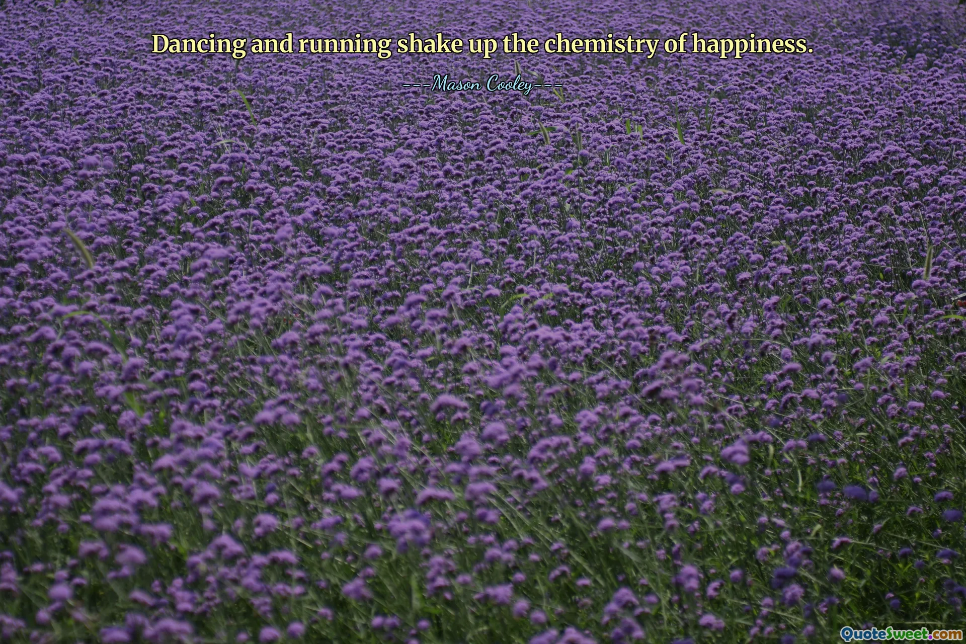 Dancing and running shake up the chemistry of happiness.