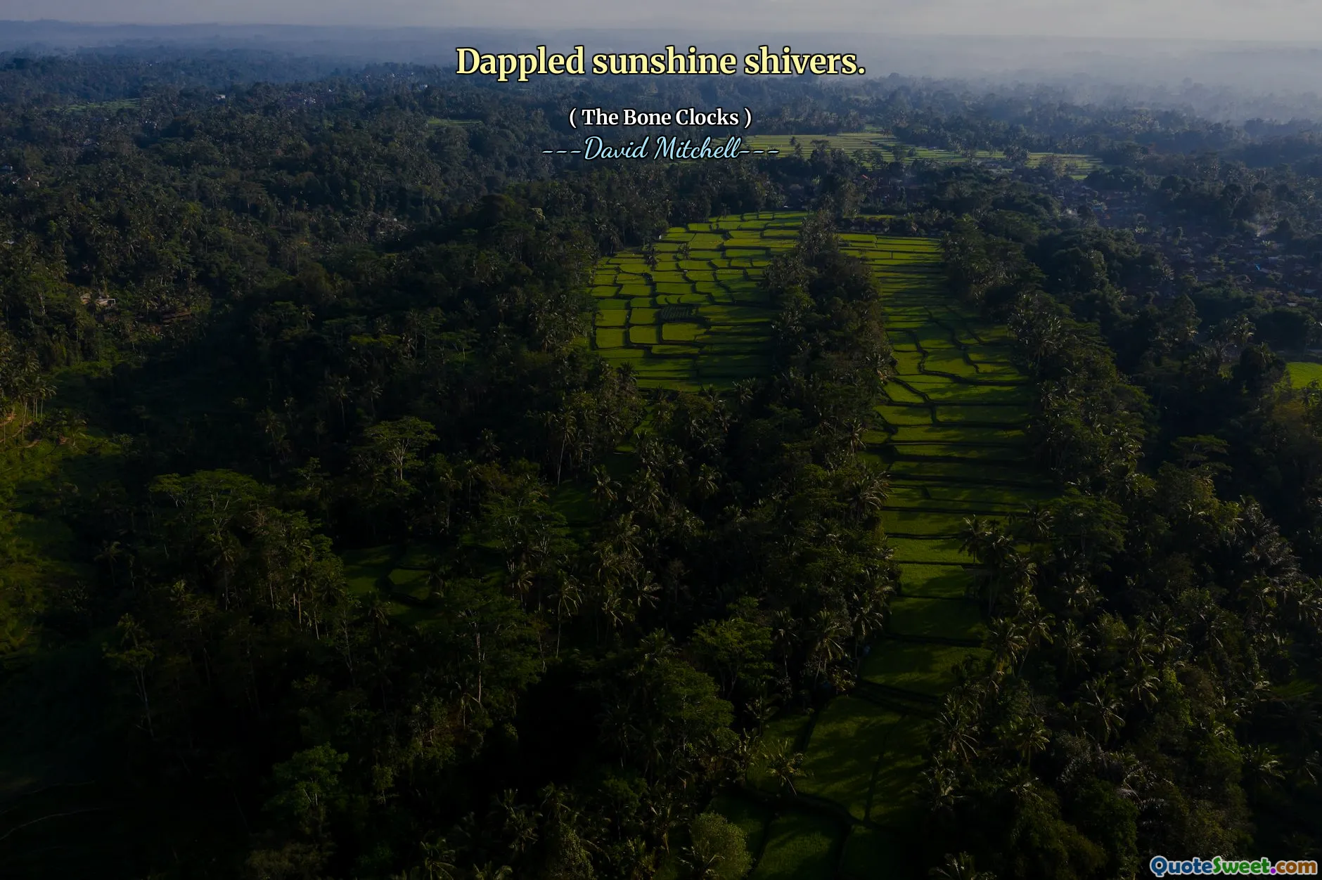 Dappled sunshine shivers.