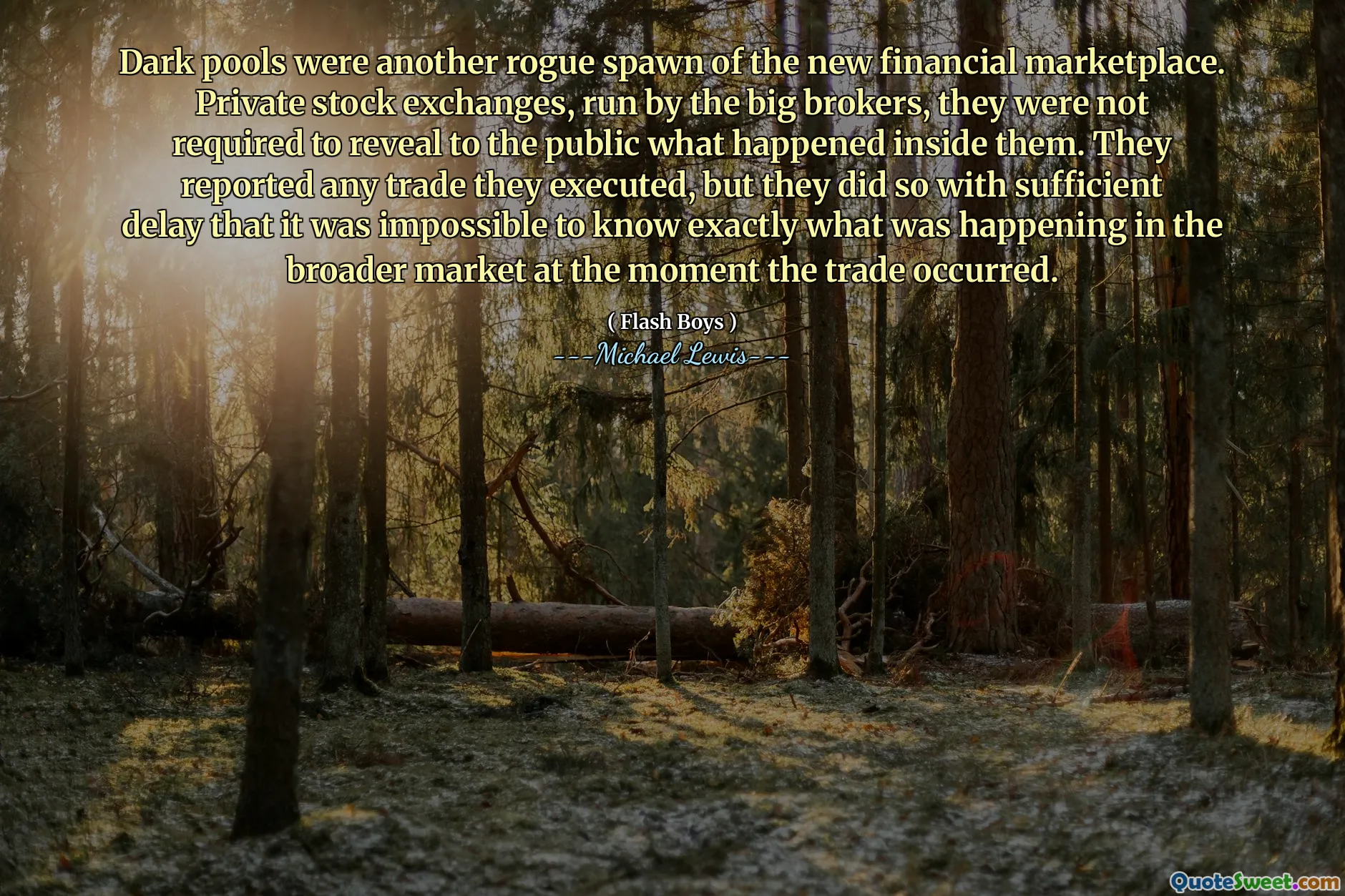 მუქი აუზები იყო ახალი ფინანსური ბაზრის კიდევ ერთი საშინელი ქვირით. კერძო საფონდო ბირჟები, რომელსაც დიდი ბროკერები მართავენ, მათ არ მოეთხოვებოდათ საზოგადოებისთვის გამოეცხადებინათ ის, რაც მოხდა მათ შიგნით. მათ განაცხადეს, რომ მათ შეასრულეს ვაჭრობა, მაგრამ მათ ეს საკმარისი შეფერხებით გააკეთეს, რომ შეუძლებელი იყო იმის ცოდნა, თუ რა ხდებოდა ფართო ბაზარზე იმ მომენტში, როდესაც