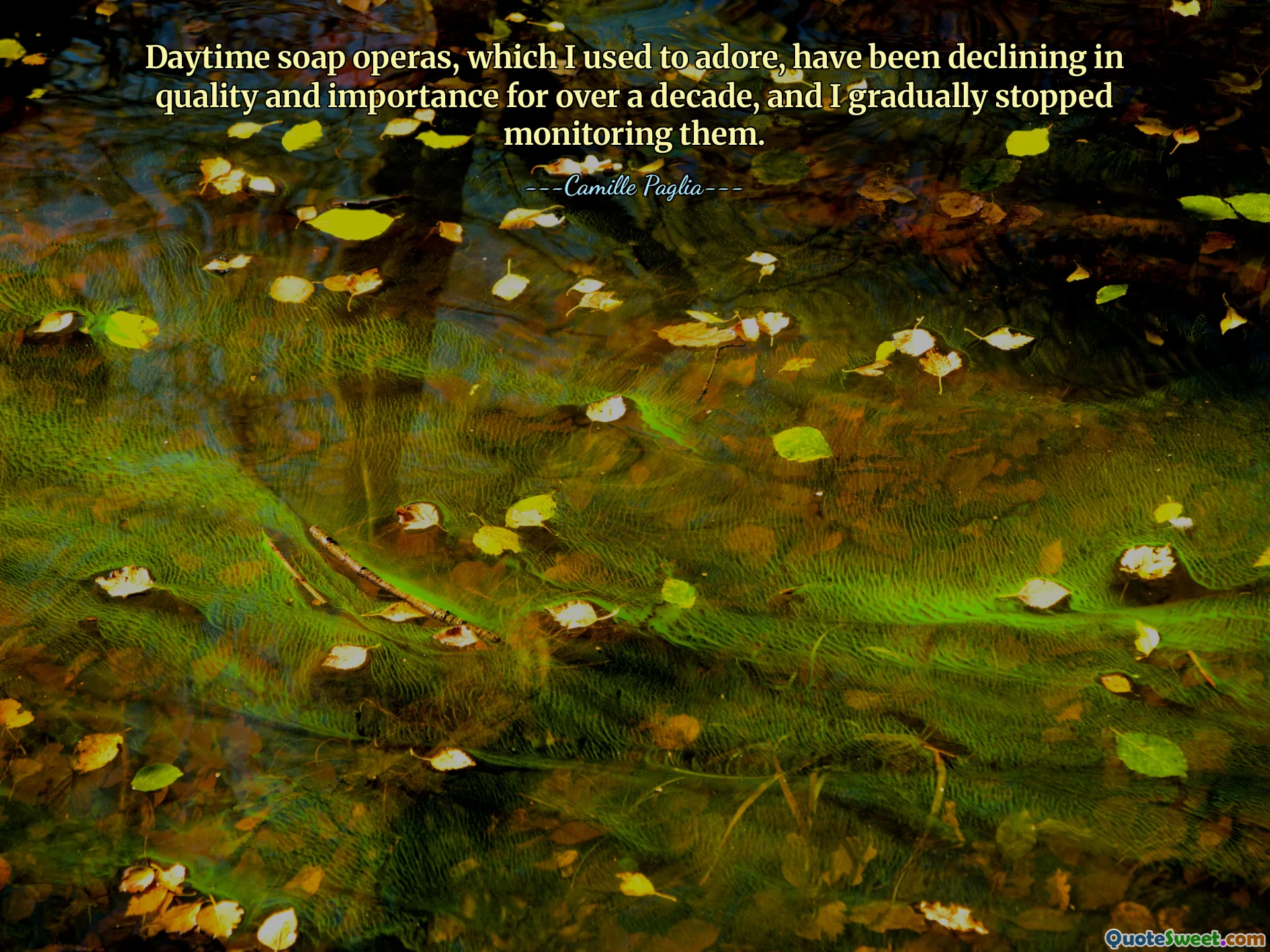 Daytime soap operas, which I used to adore, have been declining in quality and importance for over a decade, and I gradually stopped monitoring them.