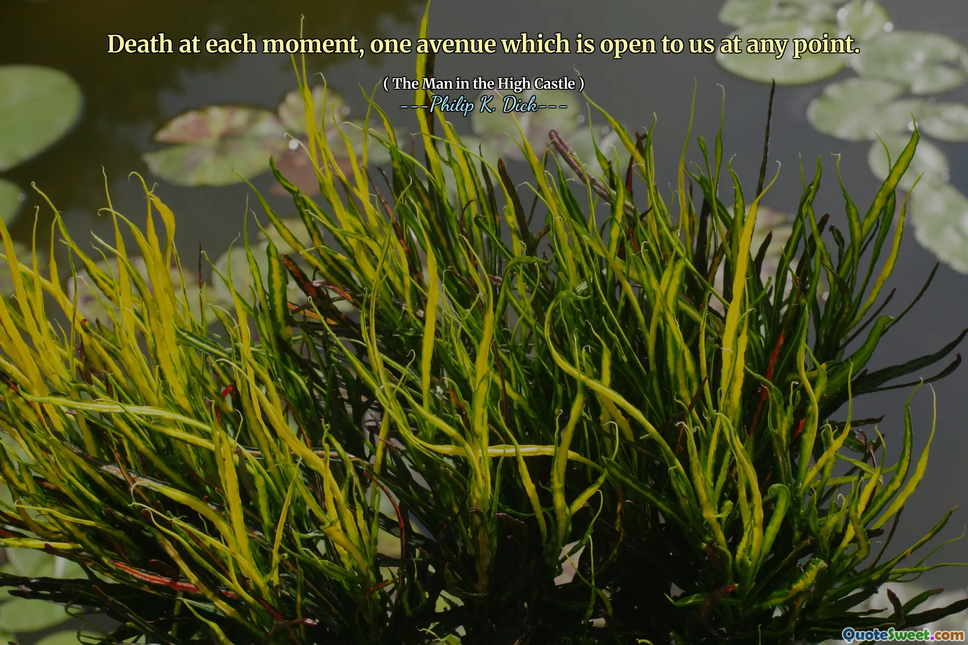 それぞれの瞬間に死、いつでも私たちに開かれている1つの道。