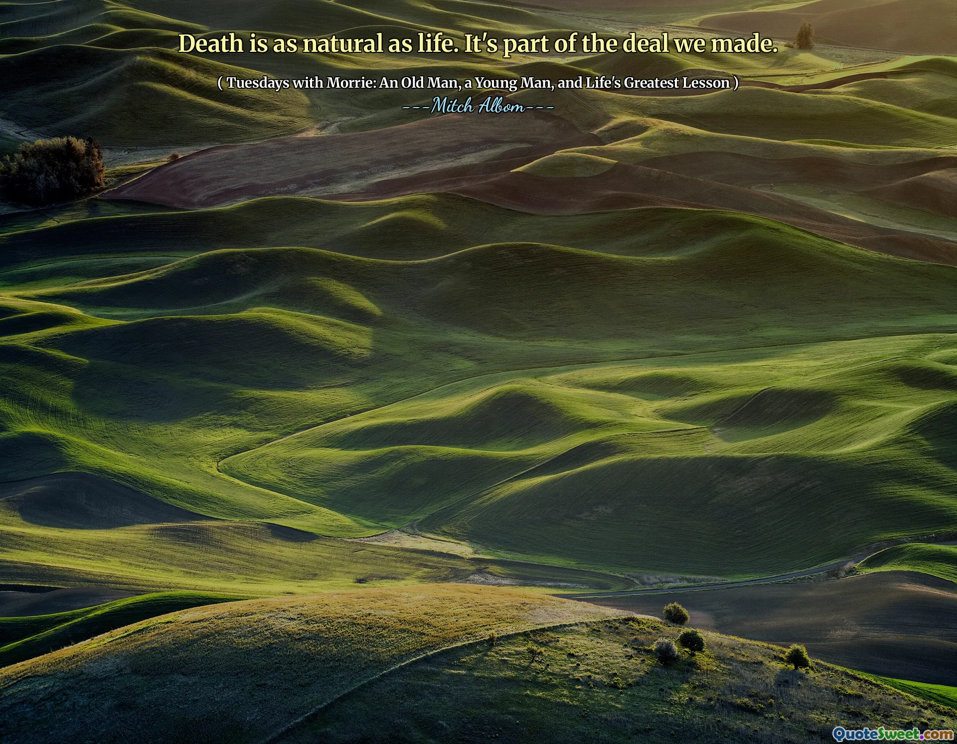 Death is as natural as life. It's part of the deal we made.