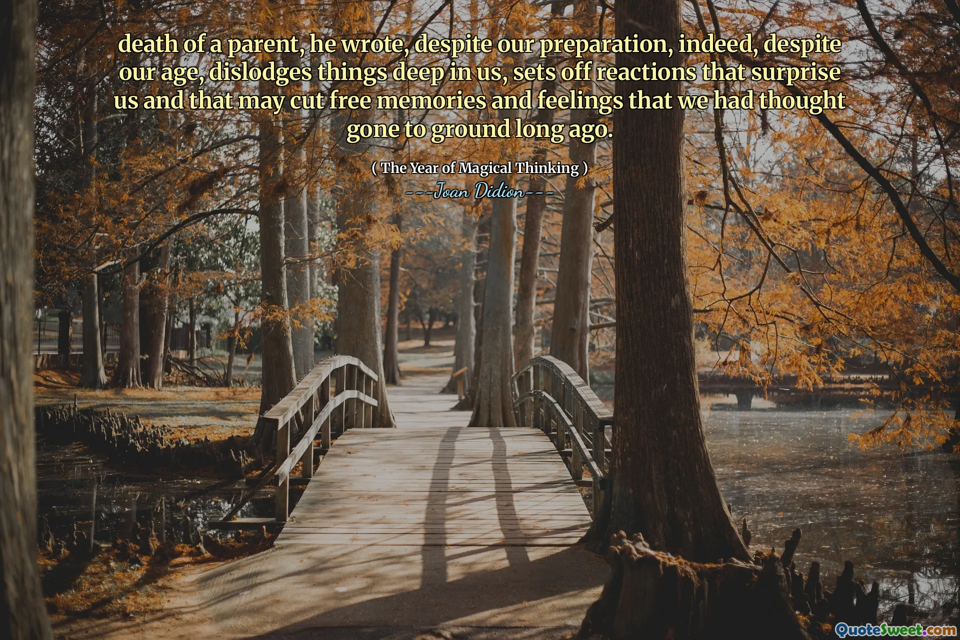 death of a parent, he wrote, despite our preparation, indeed, despite our age, dislodges things deep in us, sets off reactions that surprise us and that may cut free memories and feelings that we had thought gone to ground long ago.