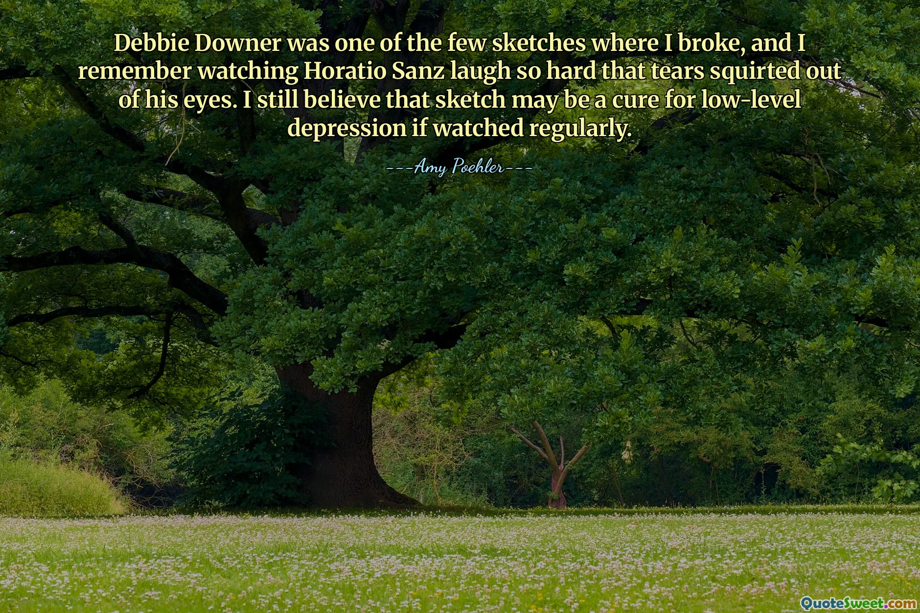 Debbie Downer was one of the few sketches where I broke, and I remember watching Horatio Sanz laugh so hard that tears squirted out of his eyes. I still believe that sketch may be a cure for low-level depression if watched regularly.